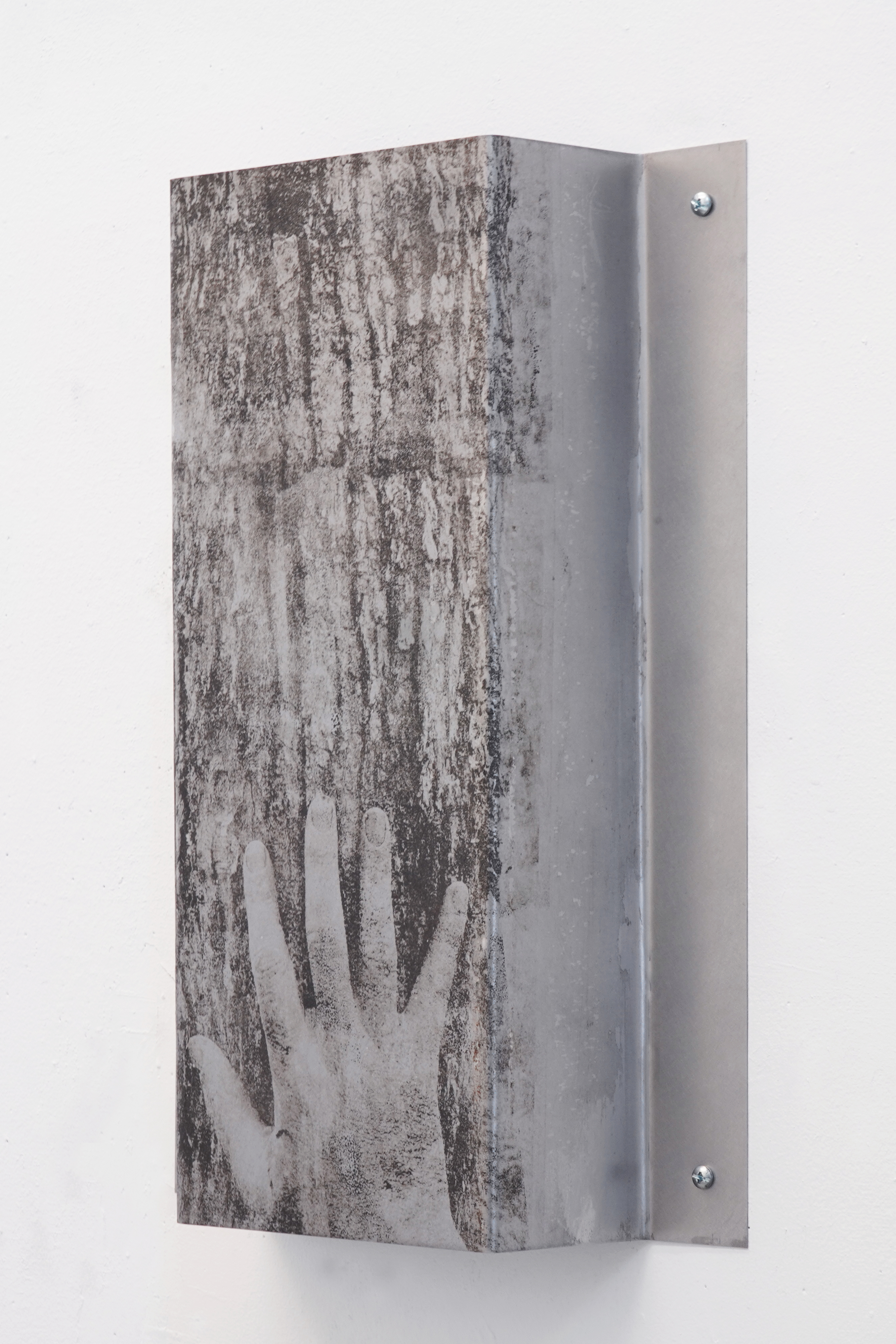 The World is Places (Black Ash Tree) / 2025 / Paper litho on steel, hardware / 20 x 24 x 4 inches
