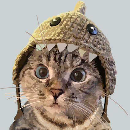 460C Cat with shark hat