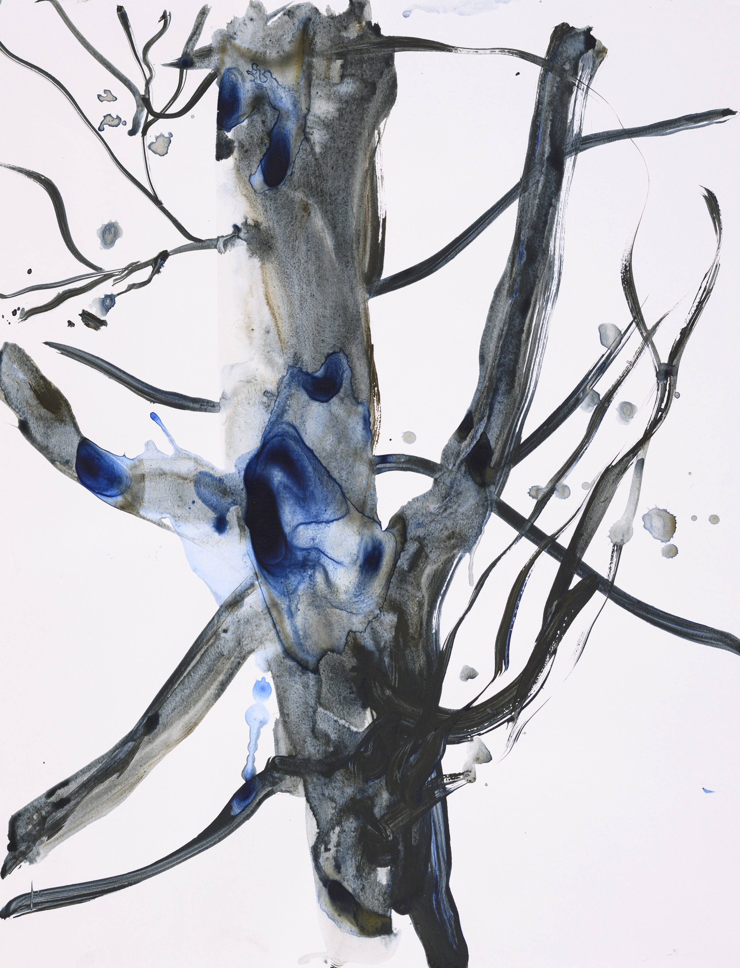 Study of nature 2007Acrylic on paper 65×50cm