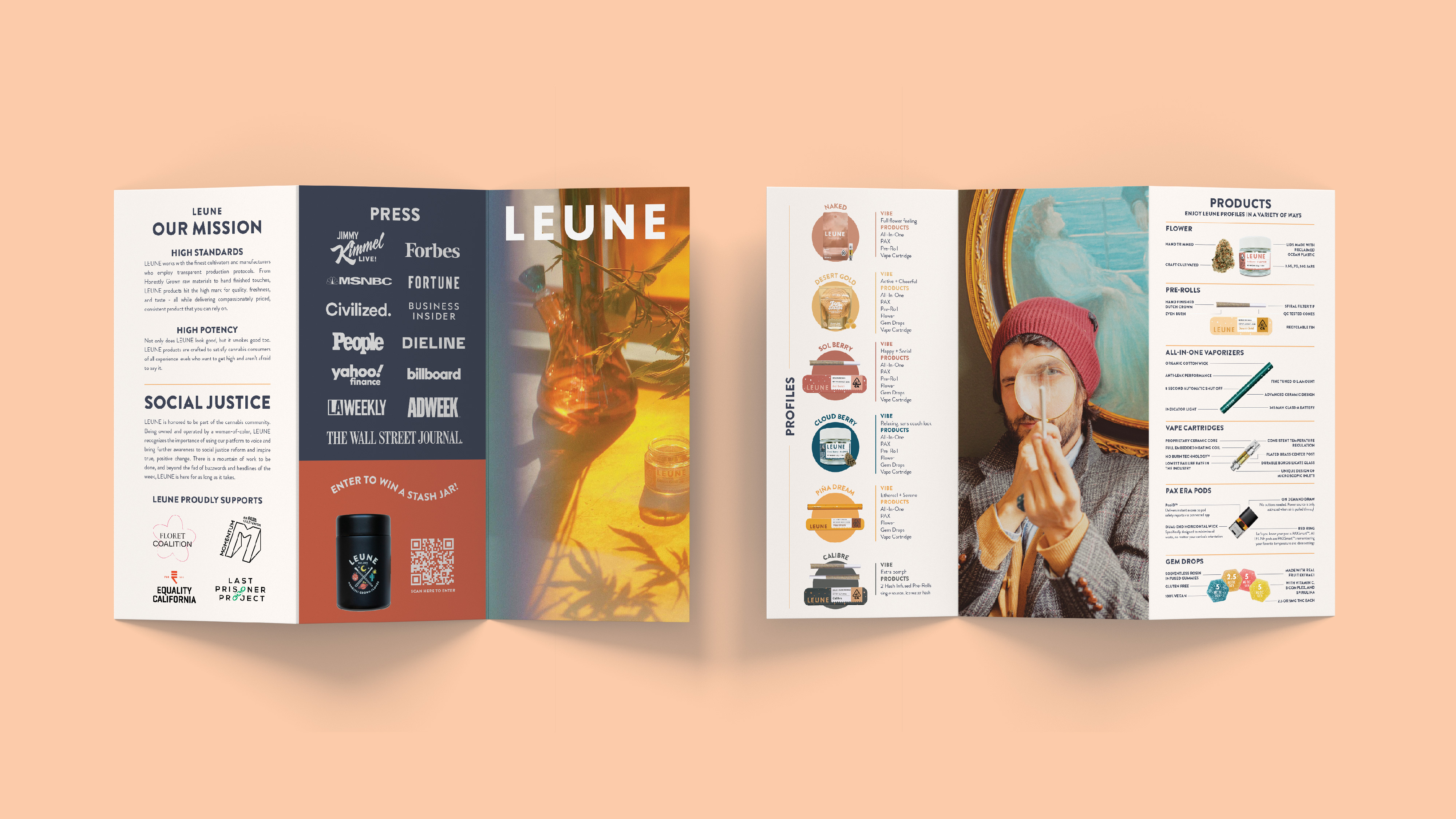 Trifold brochure for customer and potential partner brand education