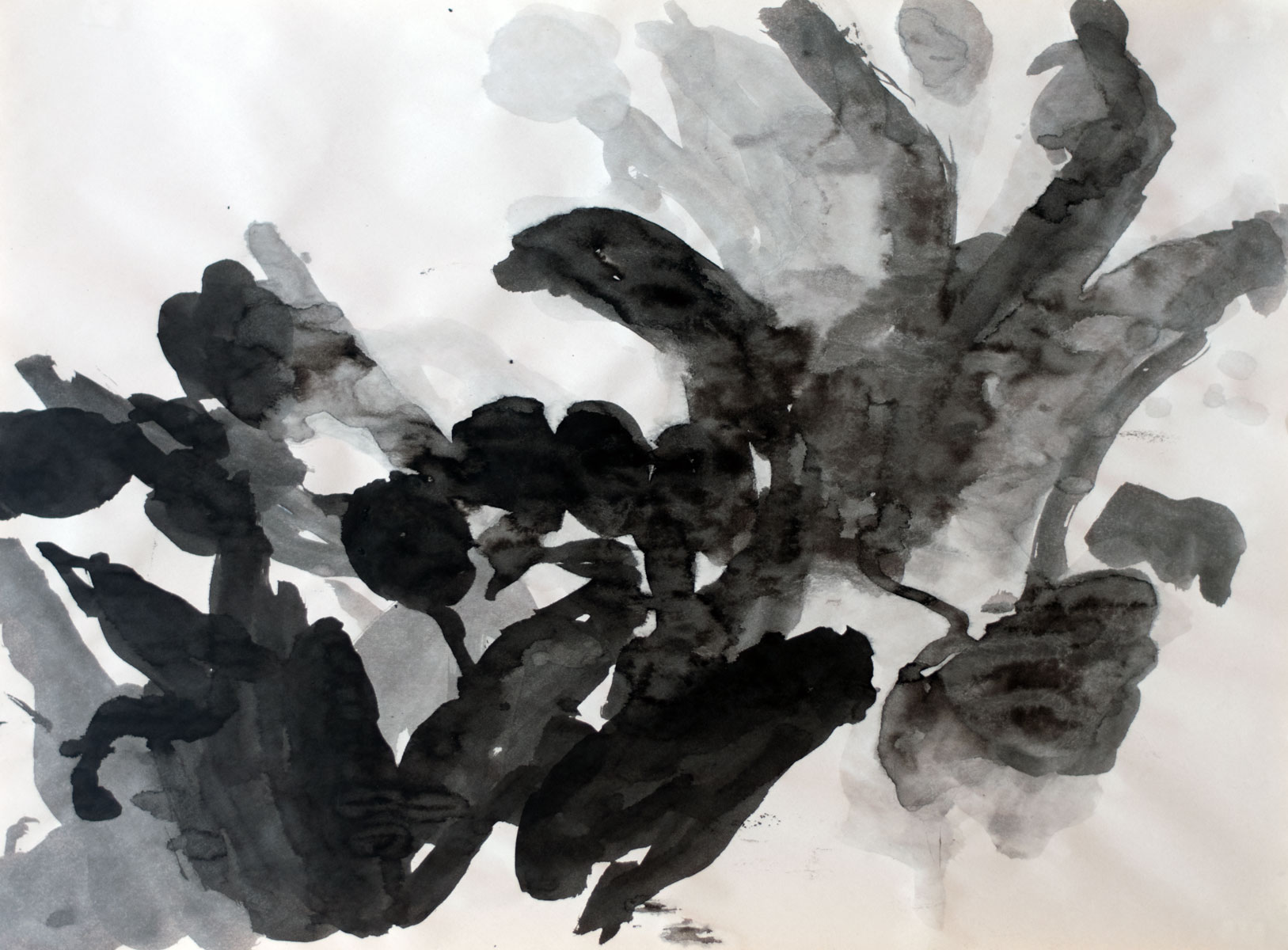 Ink on newsprint drawings — Ekaterina Vanovskaya