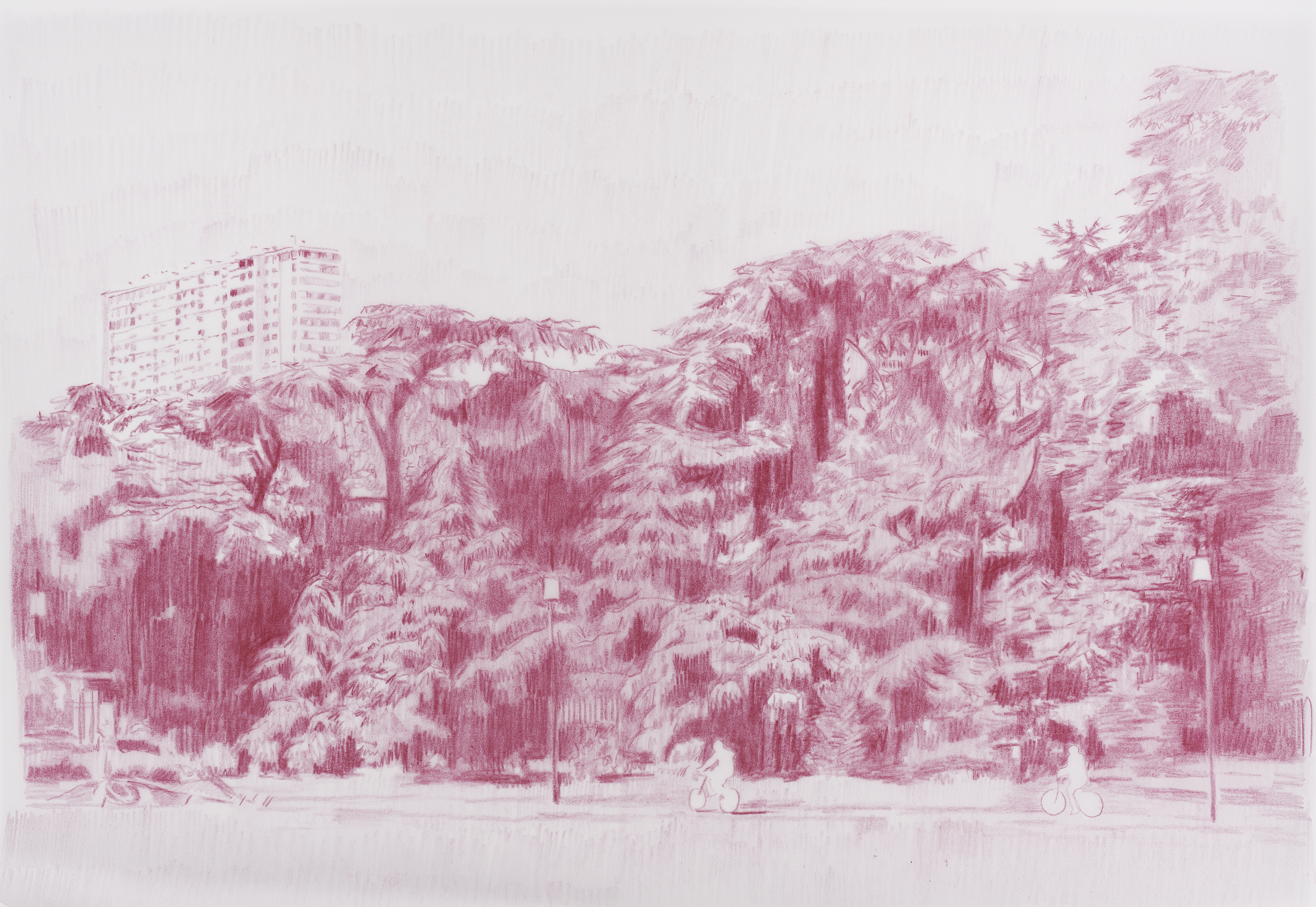 Pink cyclist, 2020. Crayon on tracing paper, 29.7 x 42cm