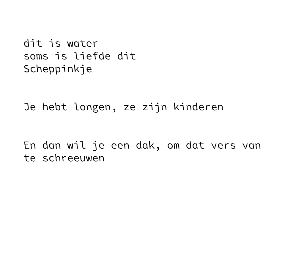 fragment uit de bundel 'Scheppinkje' -zomer 2024, in proces