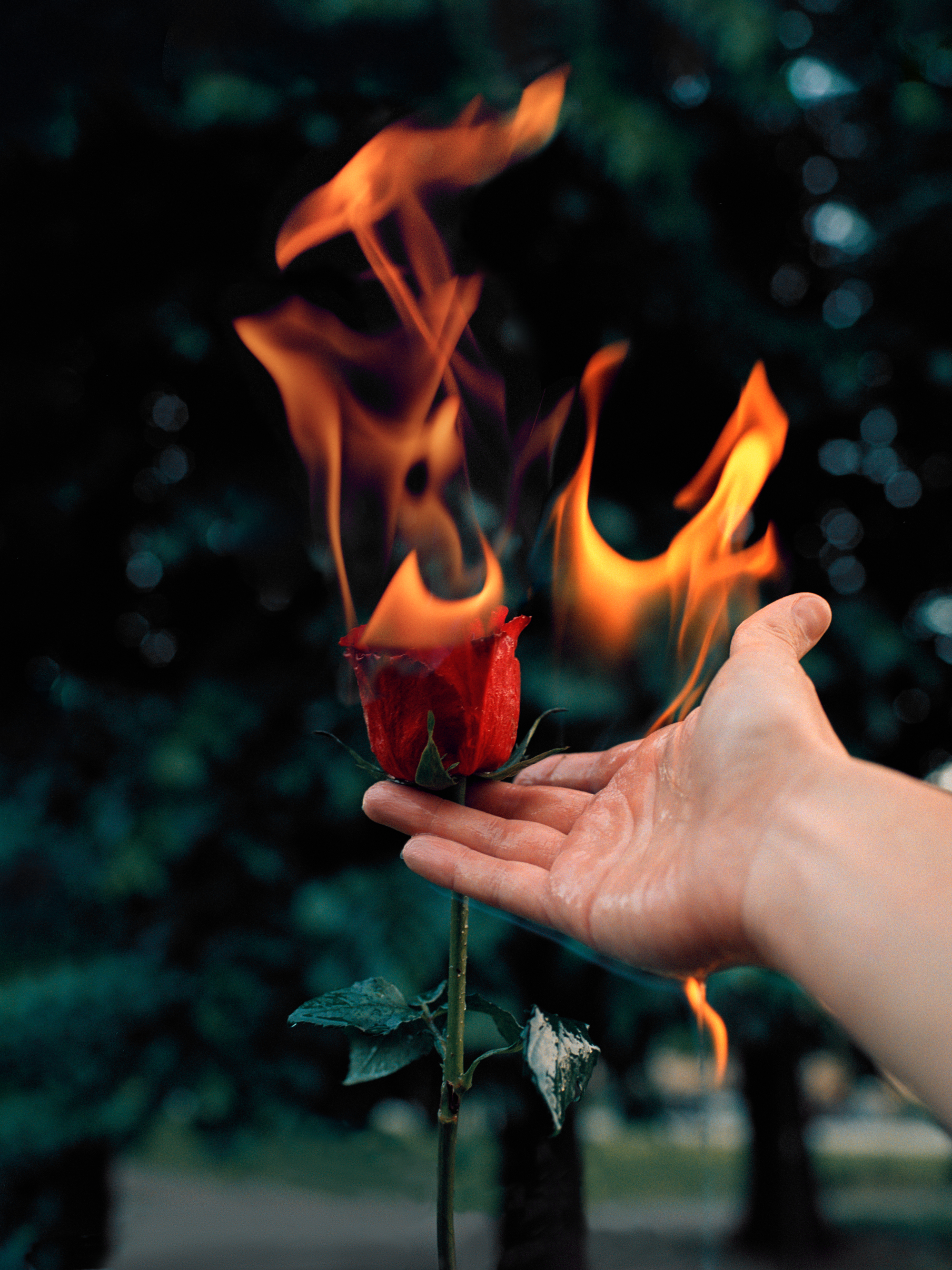 "Per risplendere devi bruciare" Personal project