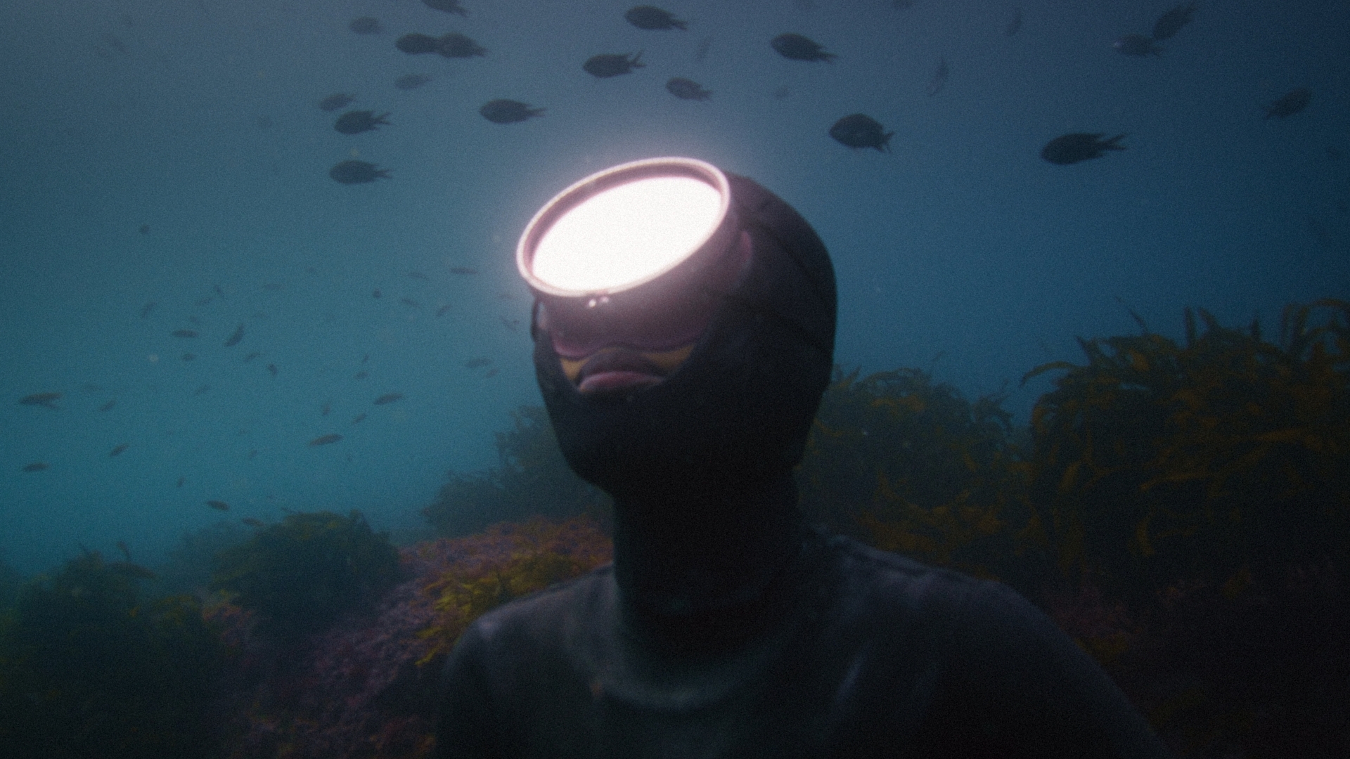 Patagonia - Daughter of the Sea