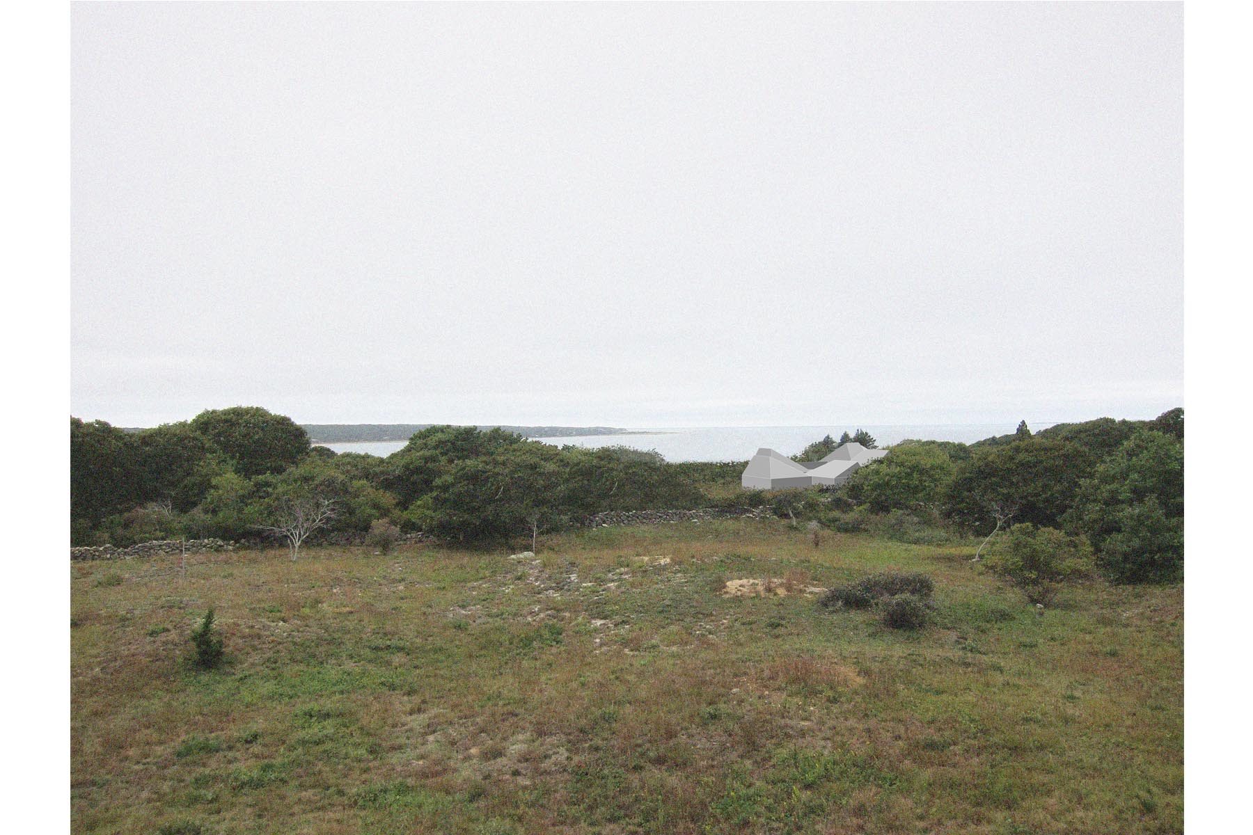 ● Site collage w/ massing / Martha's Vineyard / Davies Toews / Role: Designer, Concept Design / Martha's Vineyard, MA (2016-17)