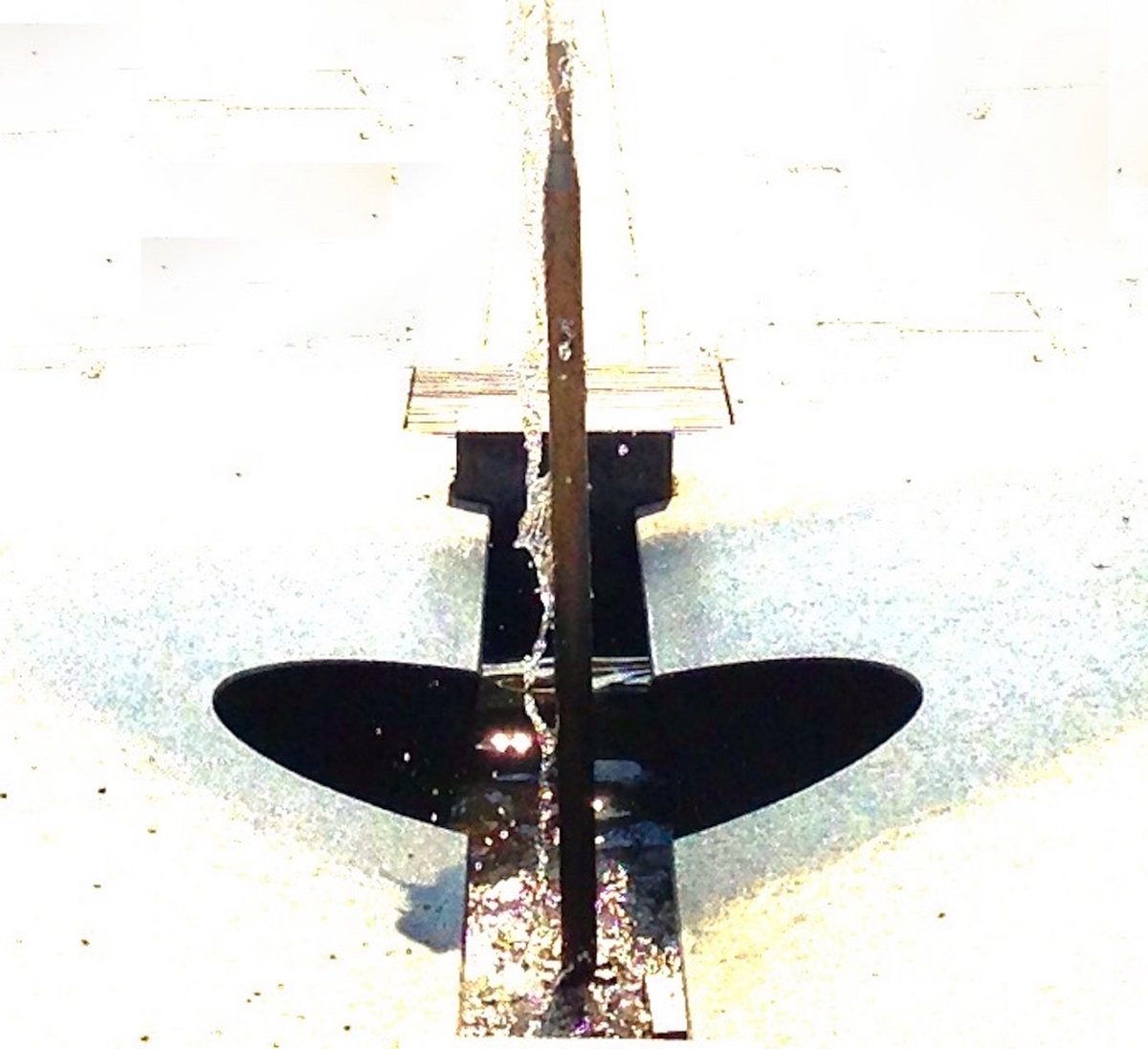 2016 | Sho Shin Duo - Mycophilia (r+m+M)