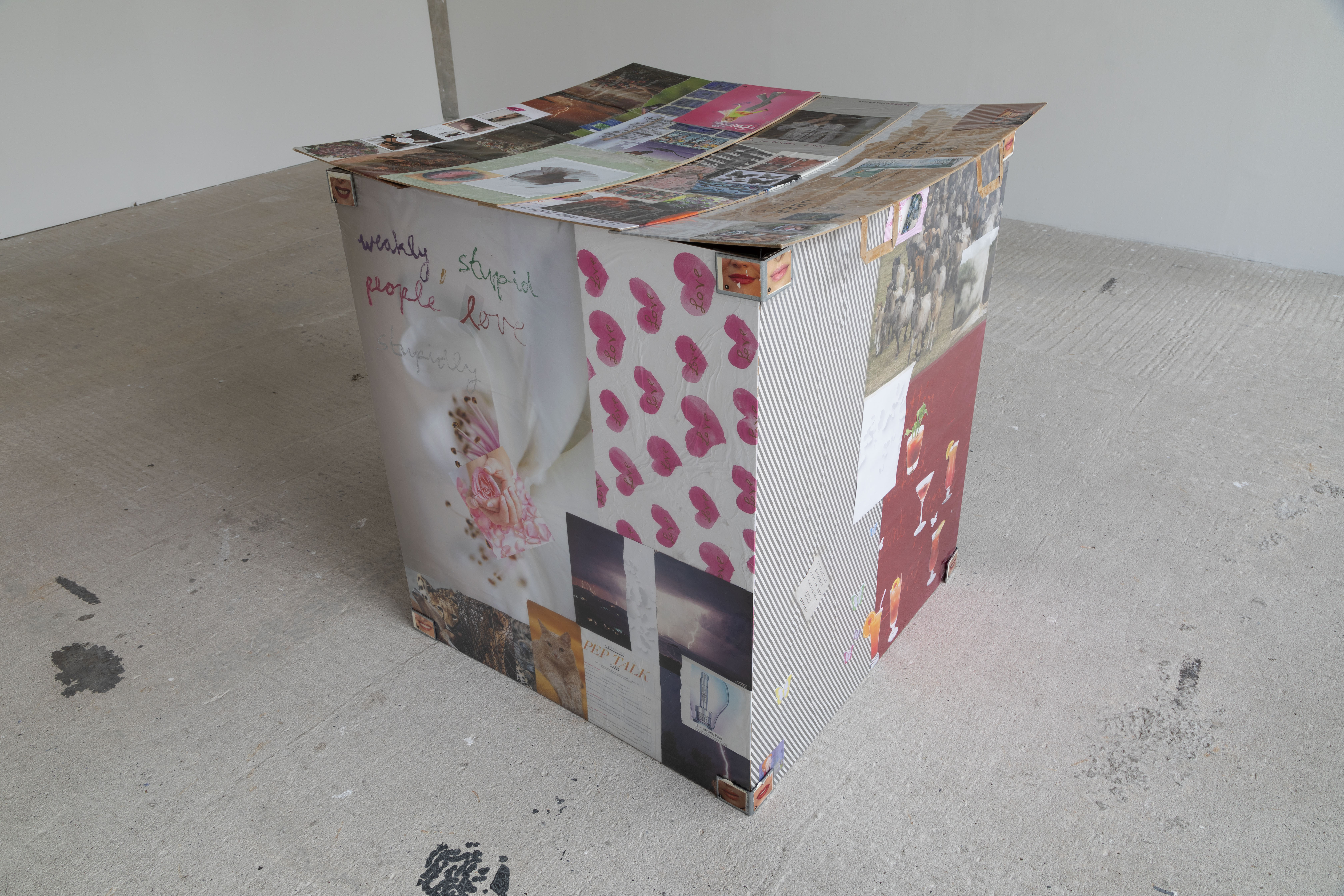 Lilli Thiessen – that’s what she shed, 2019 Foil, c-print, chipboard, metal corners