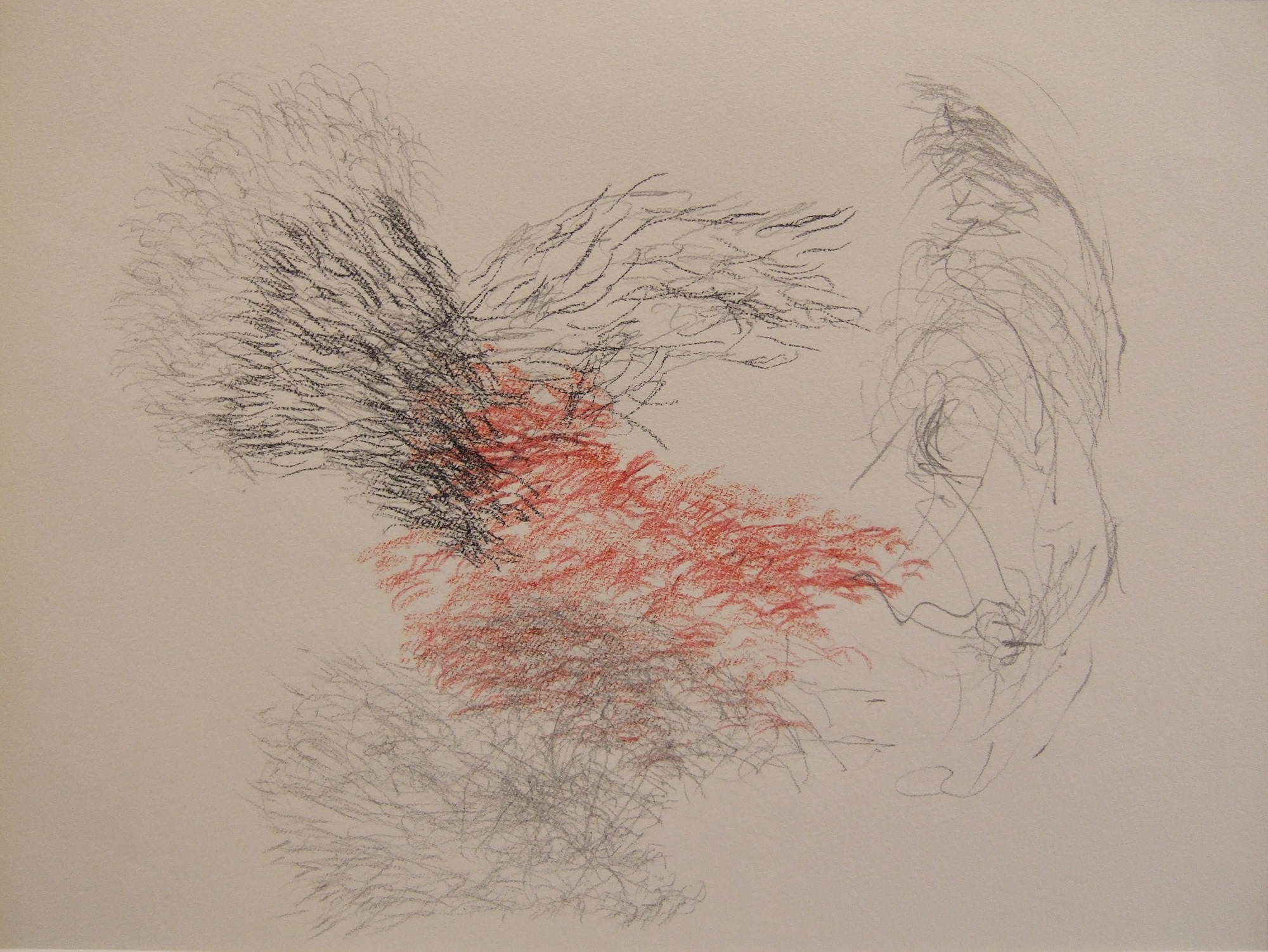 Alice in Wonderland XIII, 2006, Bleistift und Kreide auf Papier, 60 x 70 cm