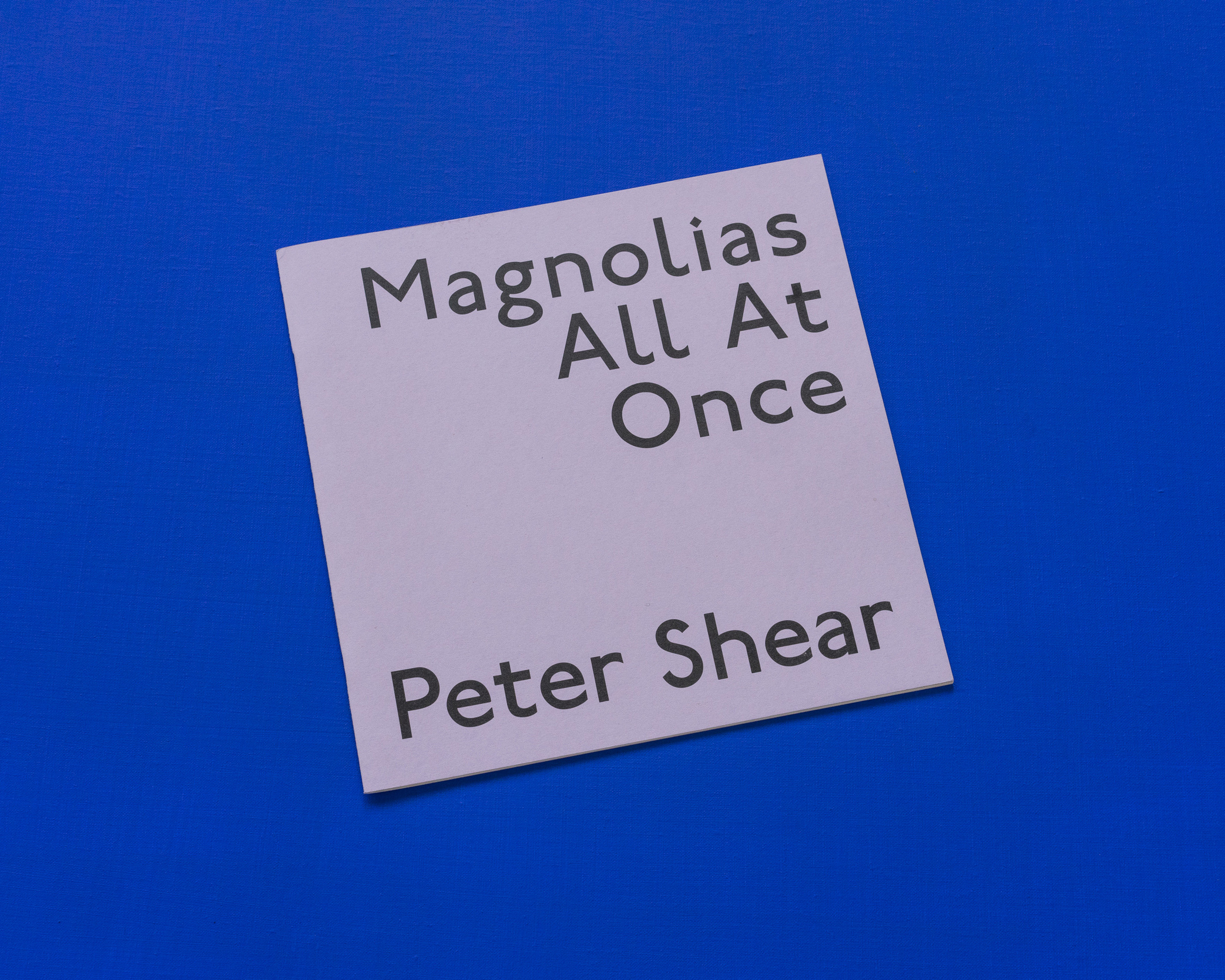 Magnolias All At Once - Peter Shear