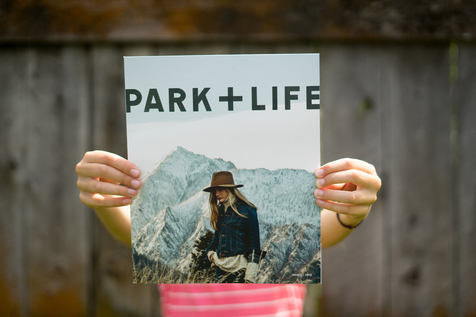 Issue 2