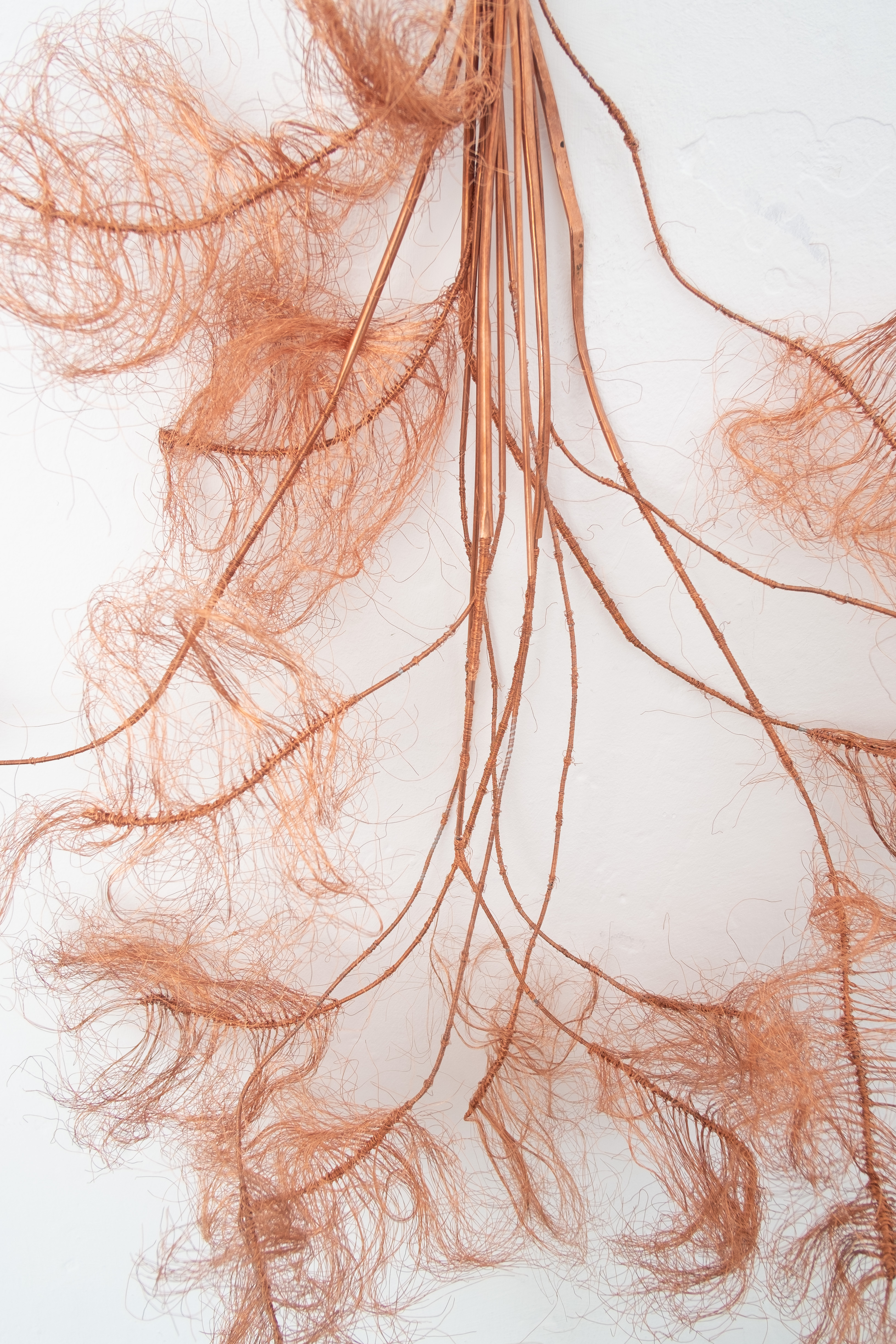 Plume detail. Jasmine Pajdak