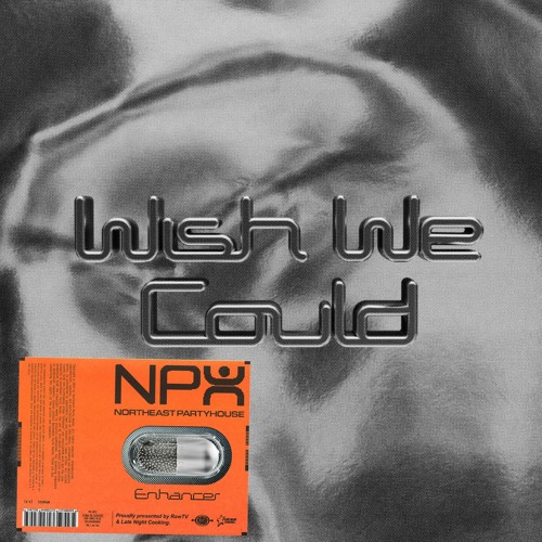 Northeast Party House - Wish We Could - Mixing 