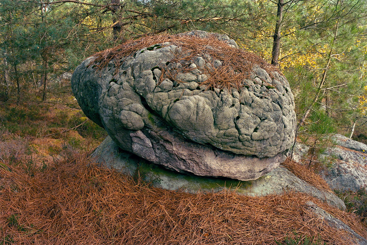 RESEARCH AND PERCEPTIONS