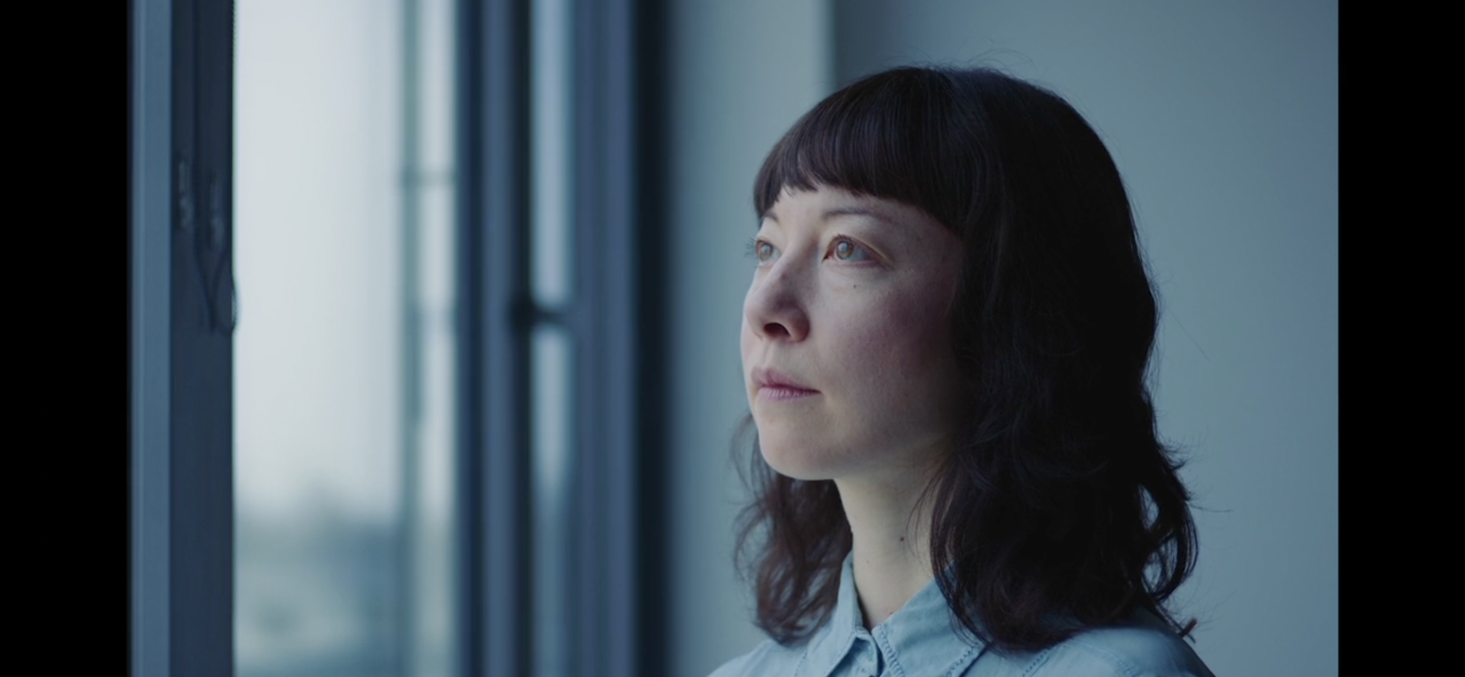 Zugvögel - short film by Rupert Höller