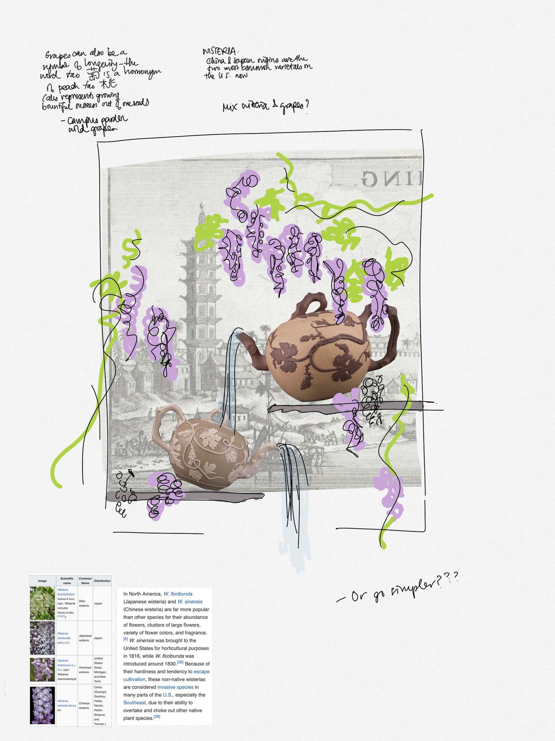 Planning sketch of "Entanglement", LONG TIME NO SEE, Stephanie Shih, visual artist