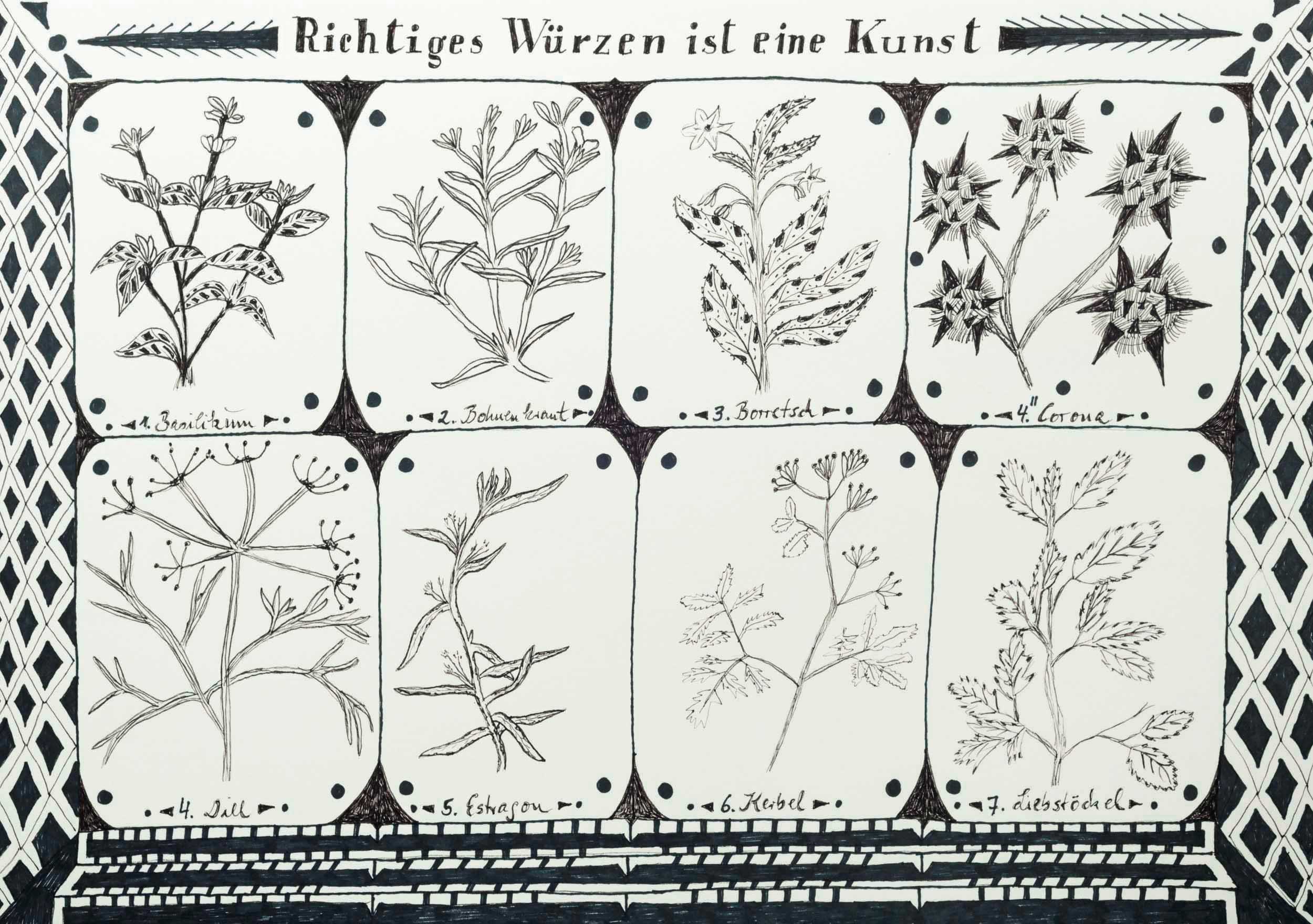 Tag 22 c. Kräuterkunde