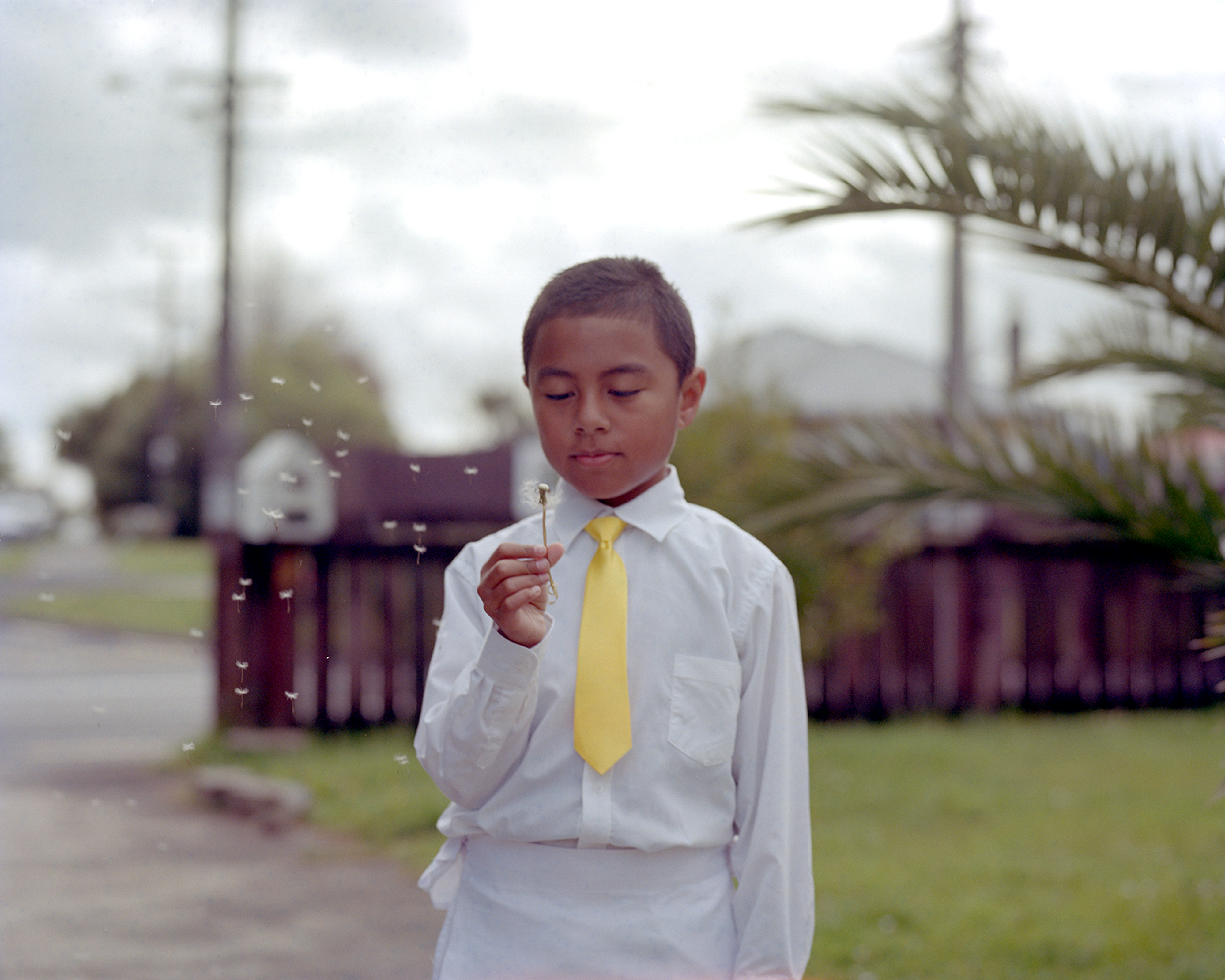 Isaac with a Dandelion on White Sunday, 2014 (Triptych)