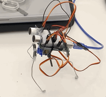 Insect Bot Walking