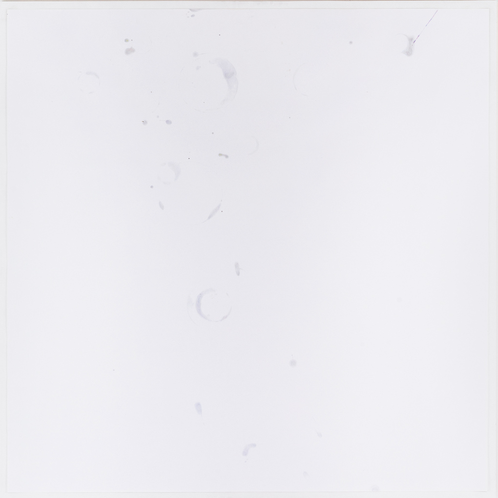 dust to dust#80, coloured pencil on paper, 138x138, 2019