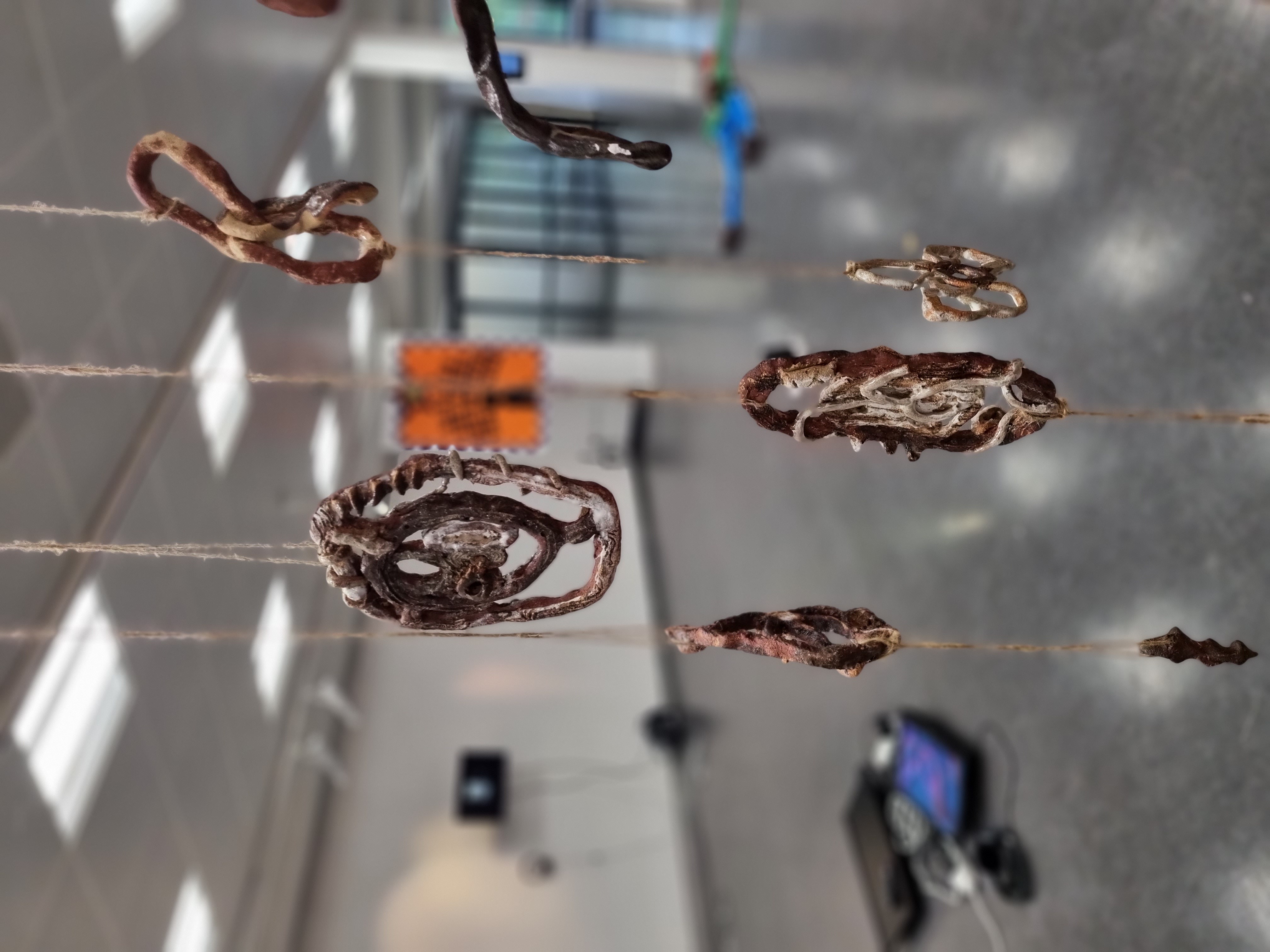 Stealing Plants, installation at "Did u miss me?" Kingston Uni Alumni Exhibition, foraged clay stoneware, wood ash glazes, Thames glaze, 2022