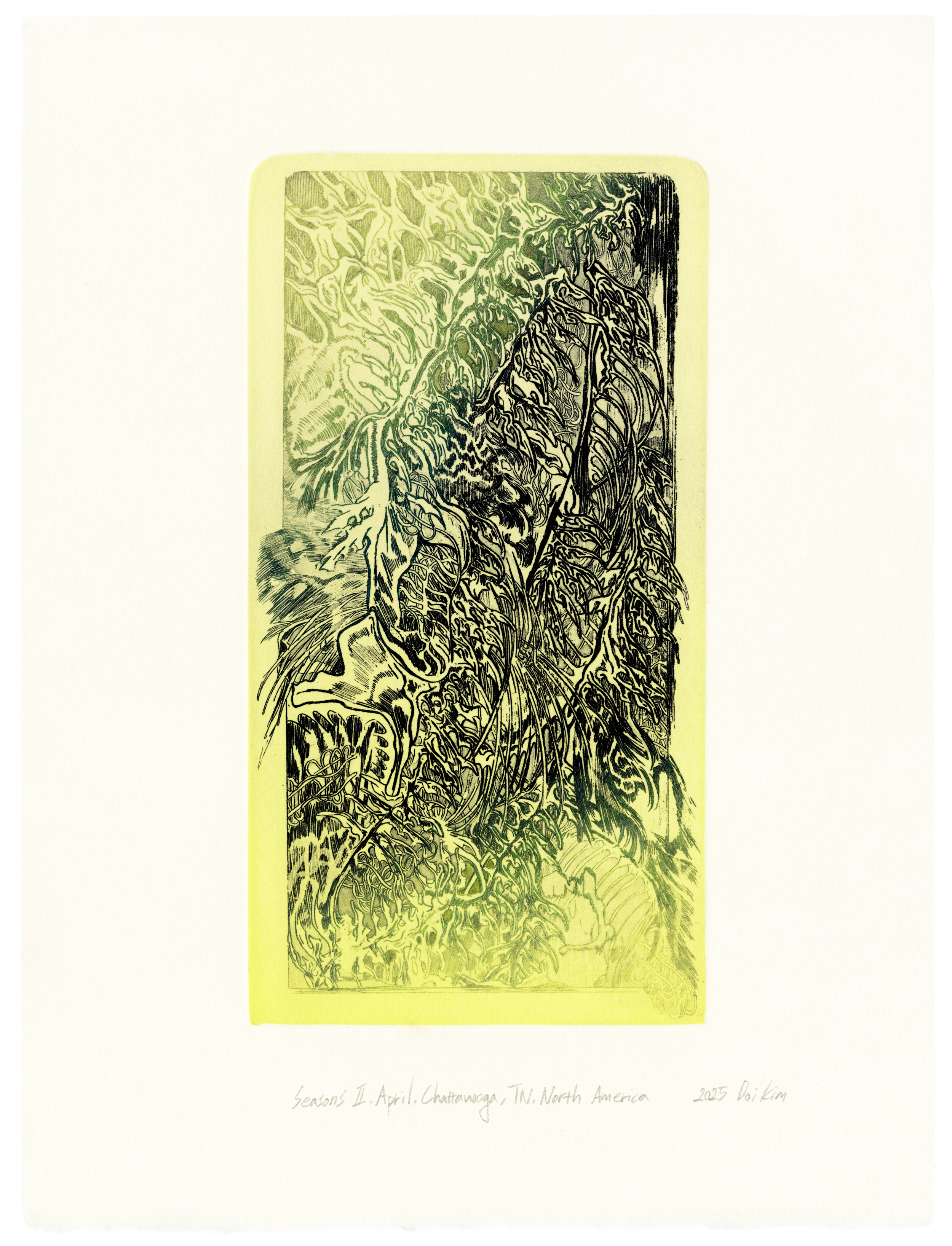 Seasons II: April, Chattanooga, TN, North America (2025), Ink on aquatint, Paper dimensions: 25.5 x 20 cm / 10 x 7.8 in, Image dimensions: 19.5 x 10 cm / 7.6 x 4 in