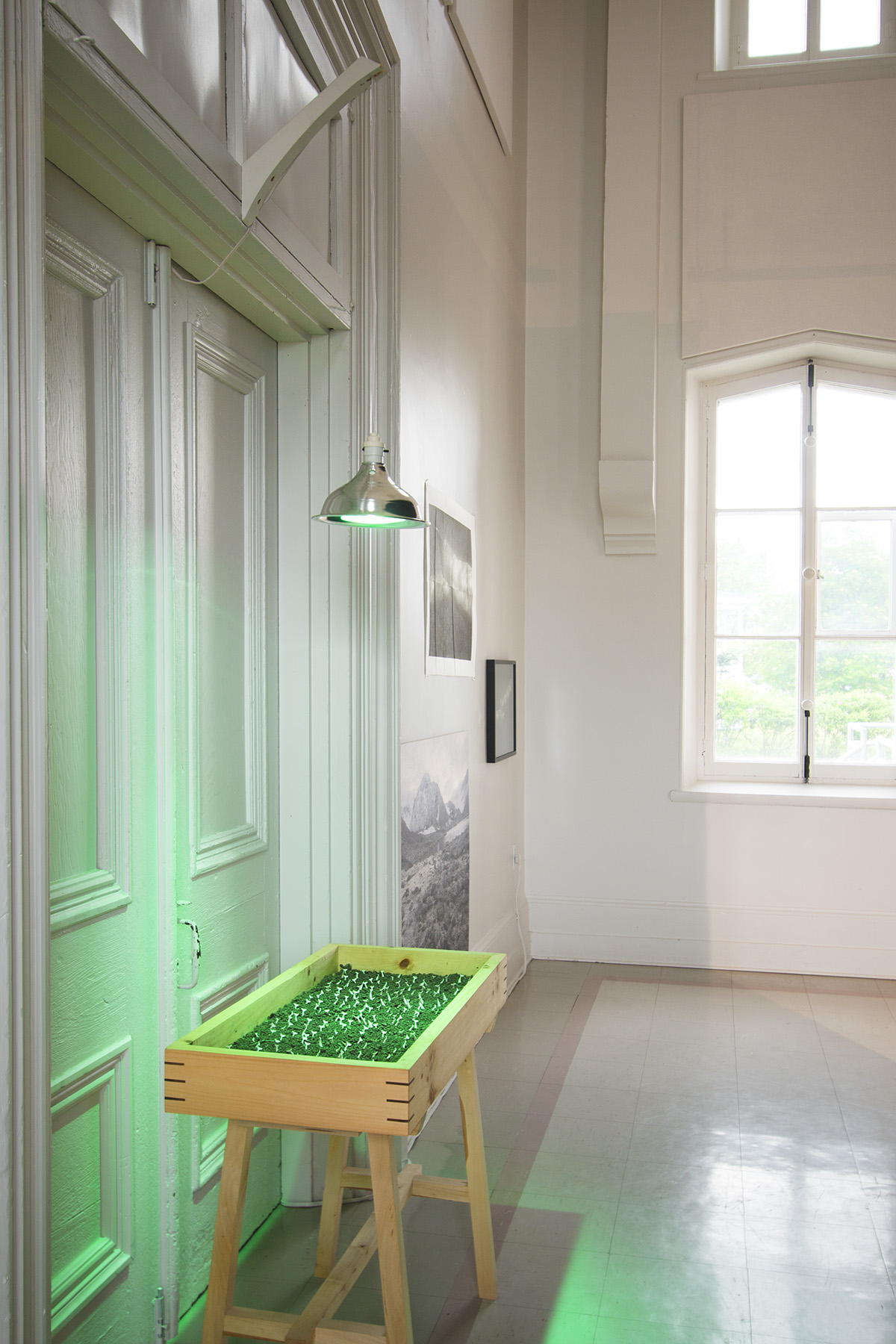 Photo : Caroline Bolieu, 2025. Courtoisie du Centre d'art de Kamouraska
