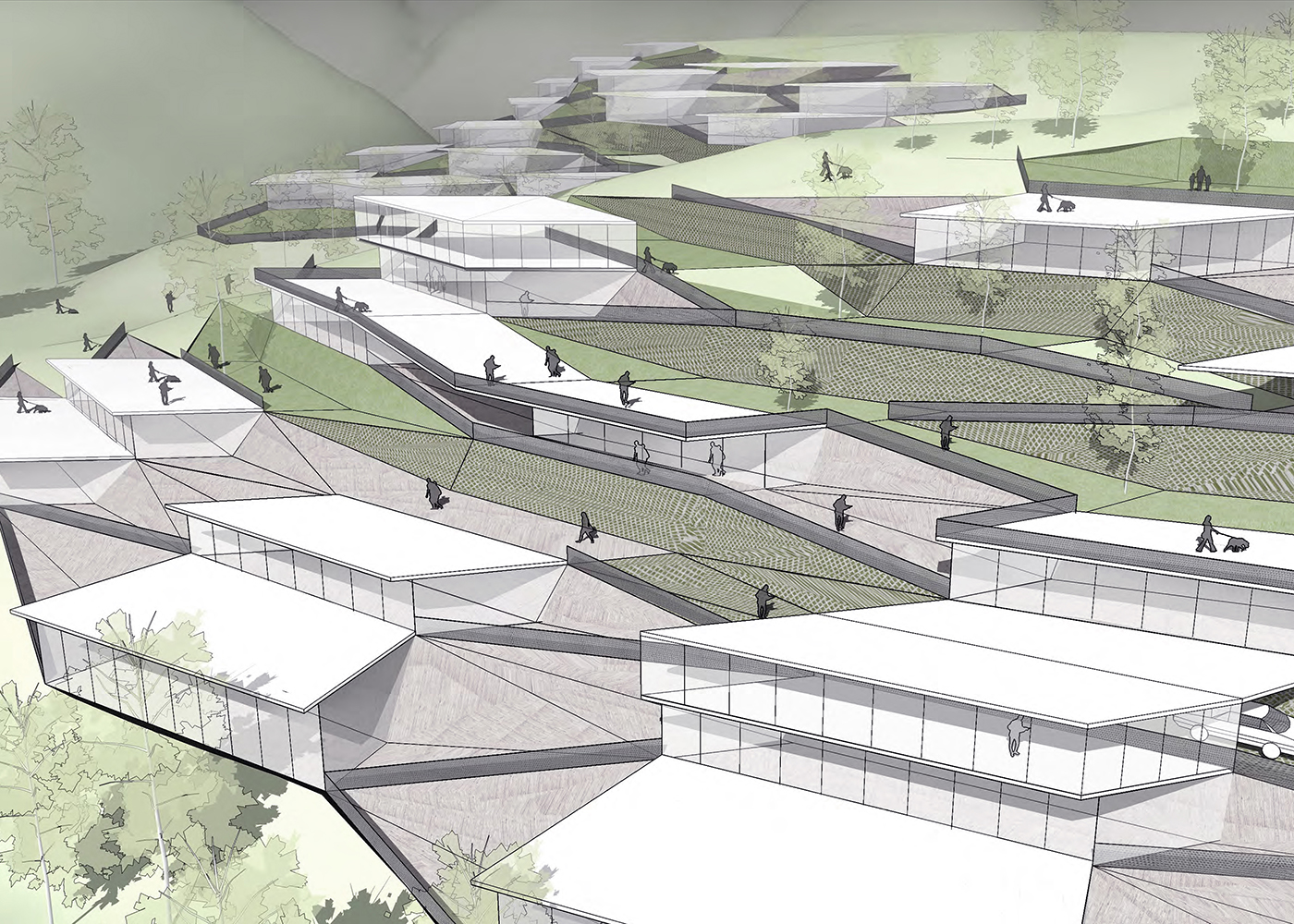 view of the fully developed terracing system