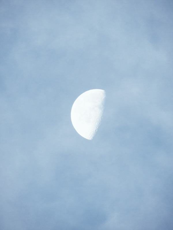 Am Himmel aus Träumen, blau und klar, ...