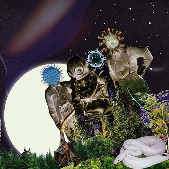 Federica Errante Calcomanías