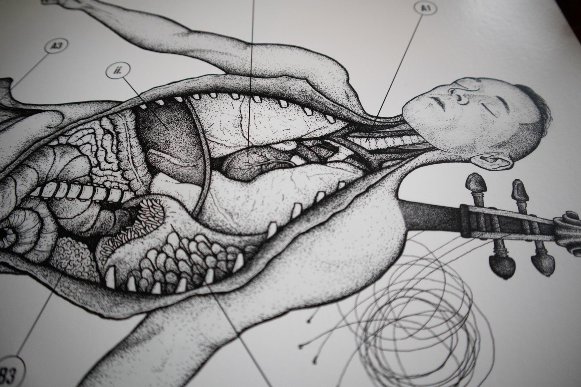 Narrative of a Nervous System gatefold art detail 2