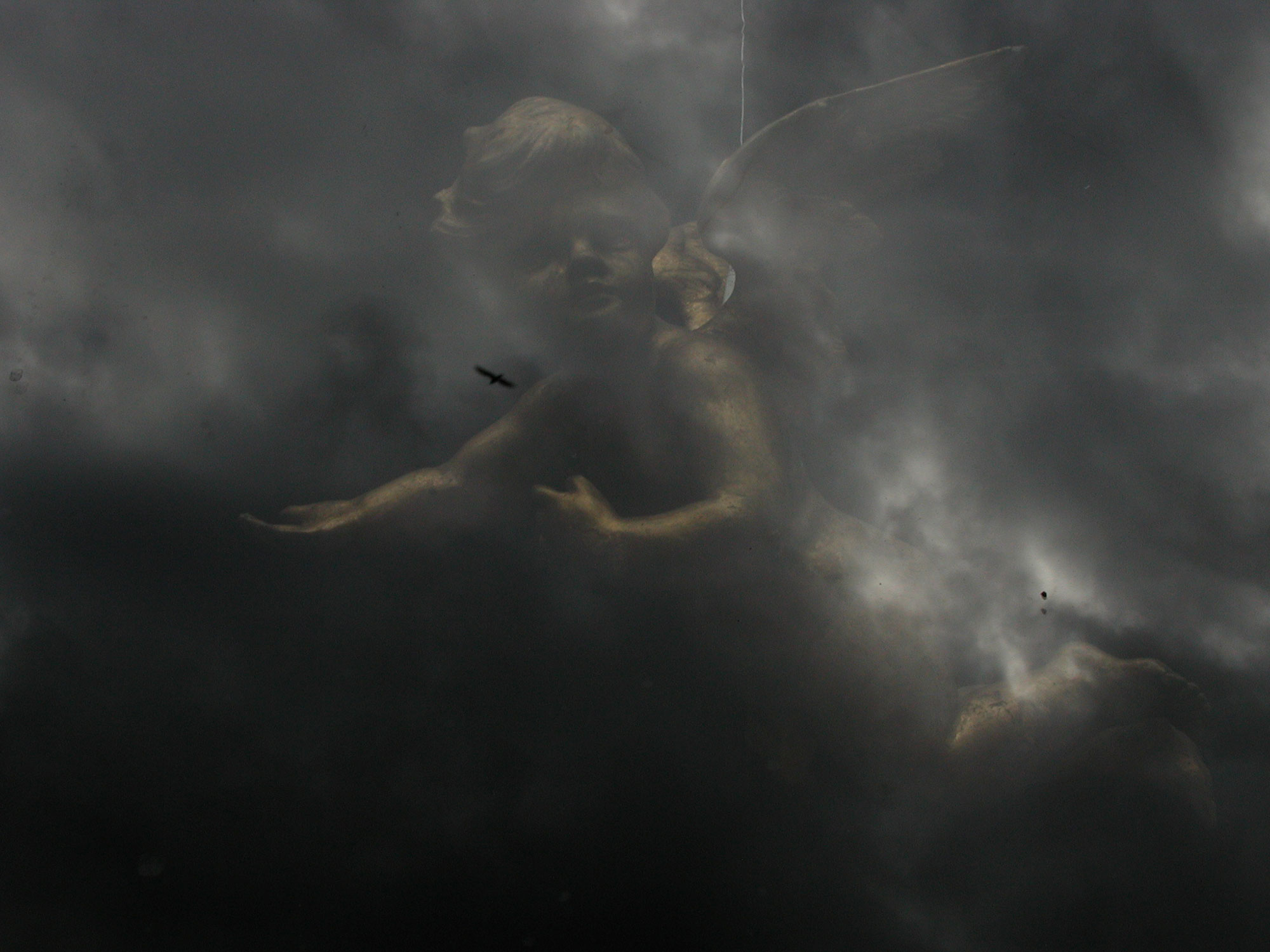 Cherub in Flight