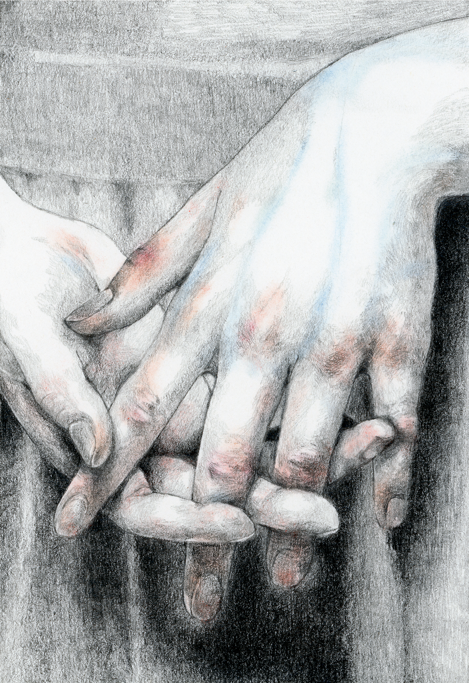 Pencil study of two hands holding by Leroy Elisabeth