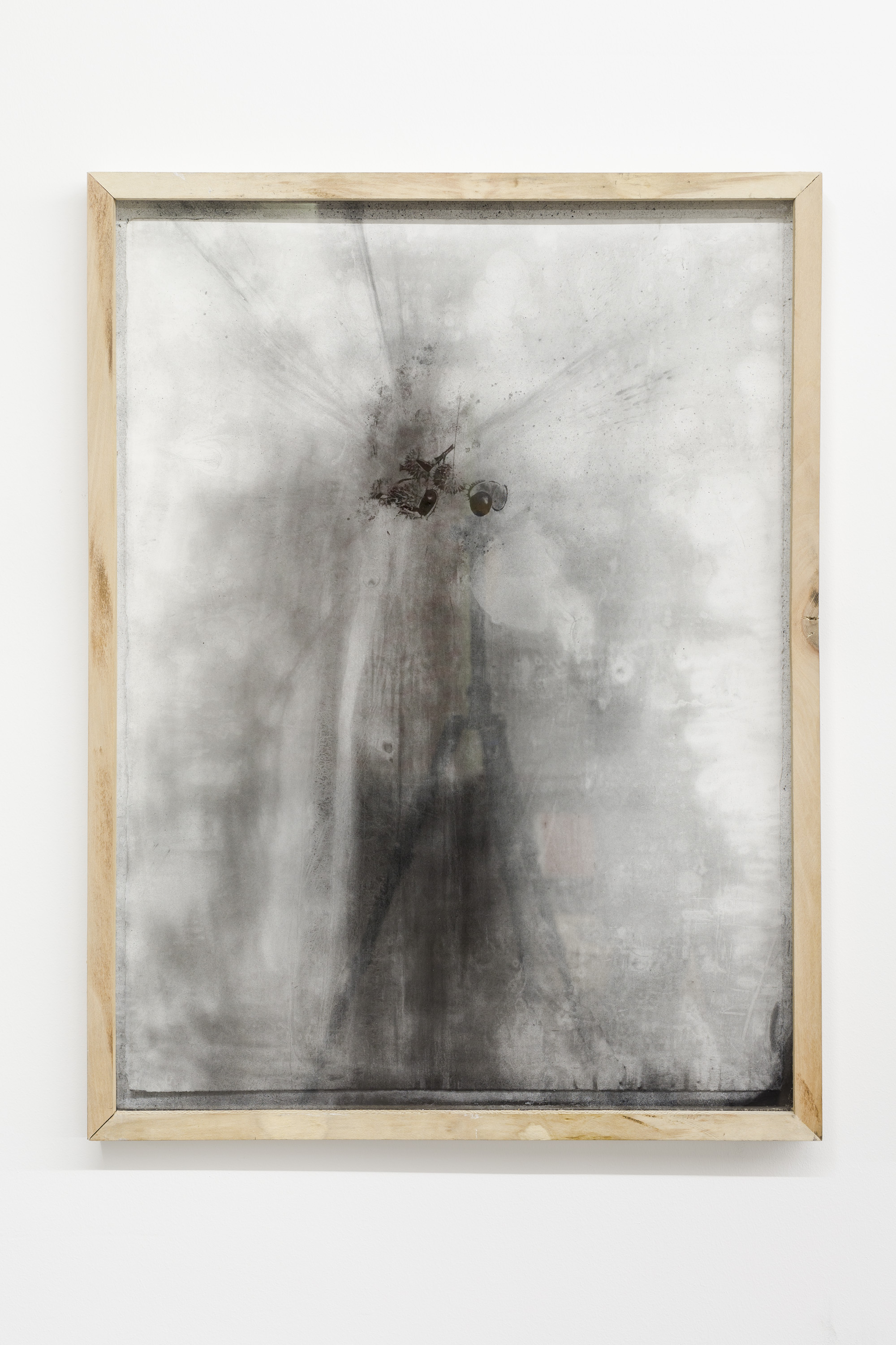 Strange Blooms : (1092.7 to Berlin, Horse chestnut), 2018