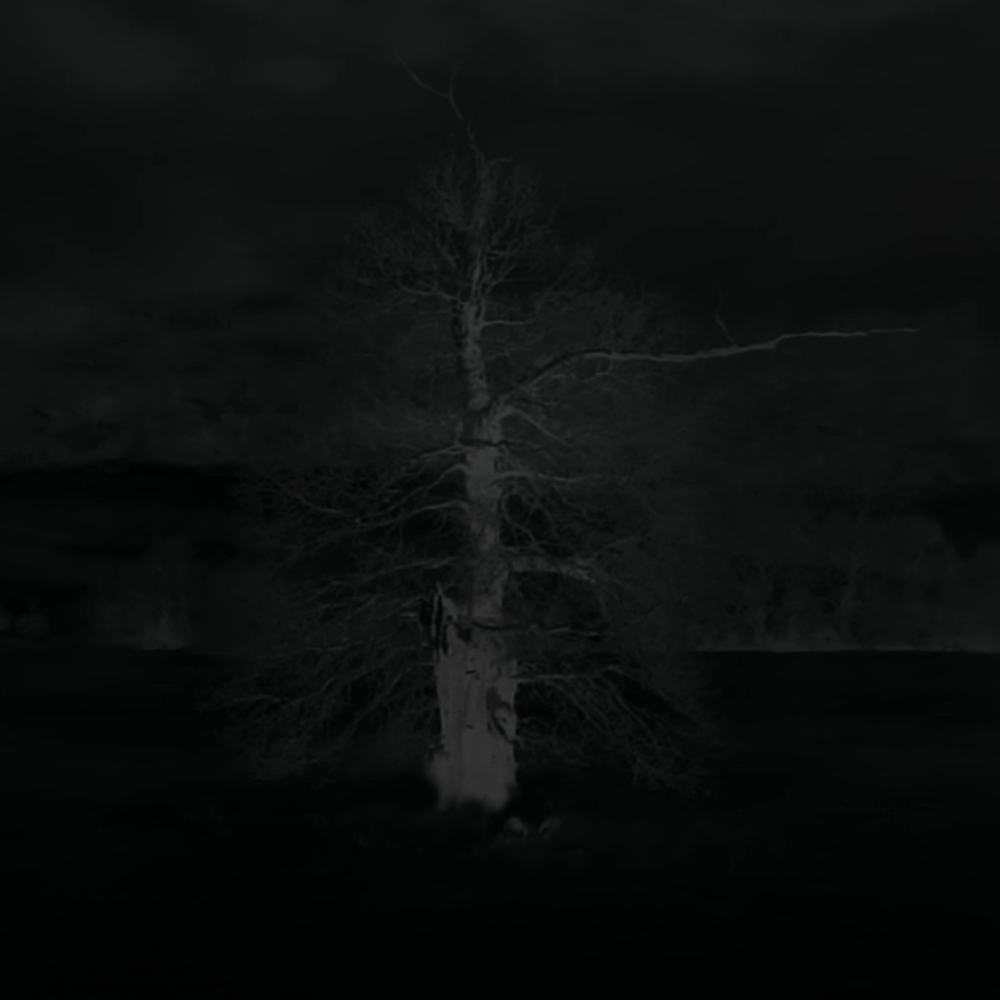 Retirement (2013), Directed by Scott Barley