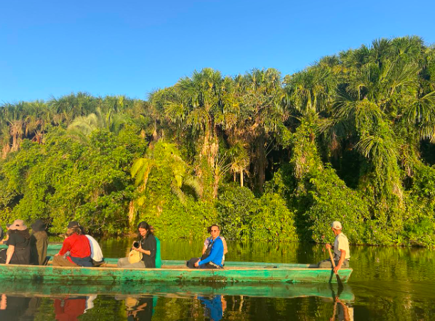 Film in Revolt: Interview with Kate Vinen / Mitayero