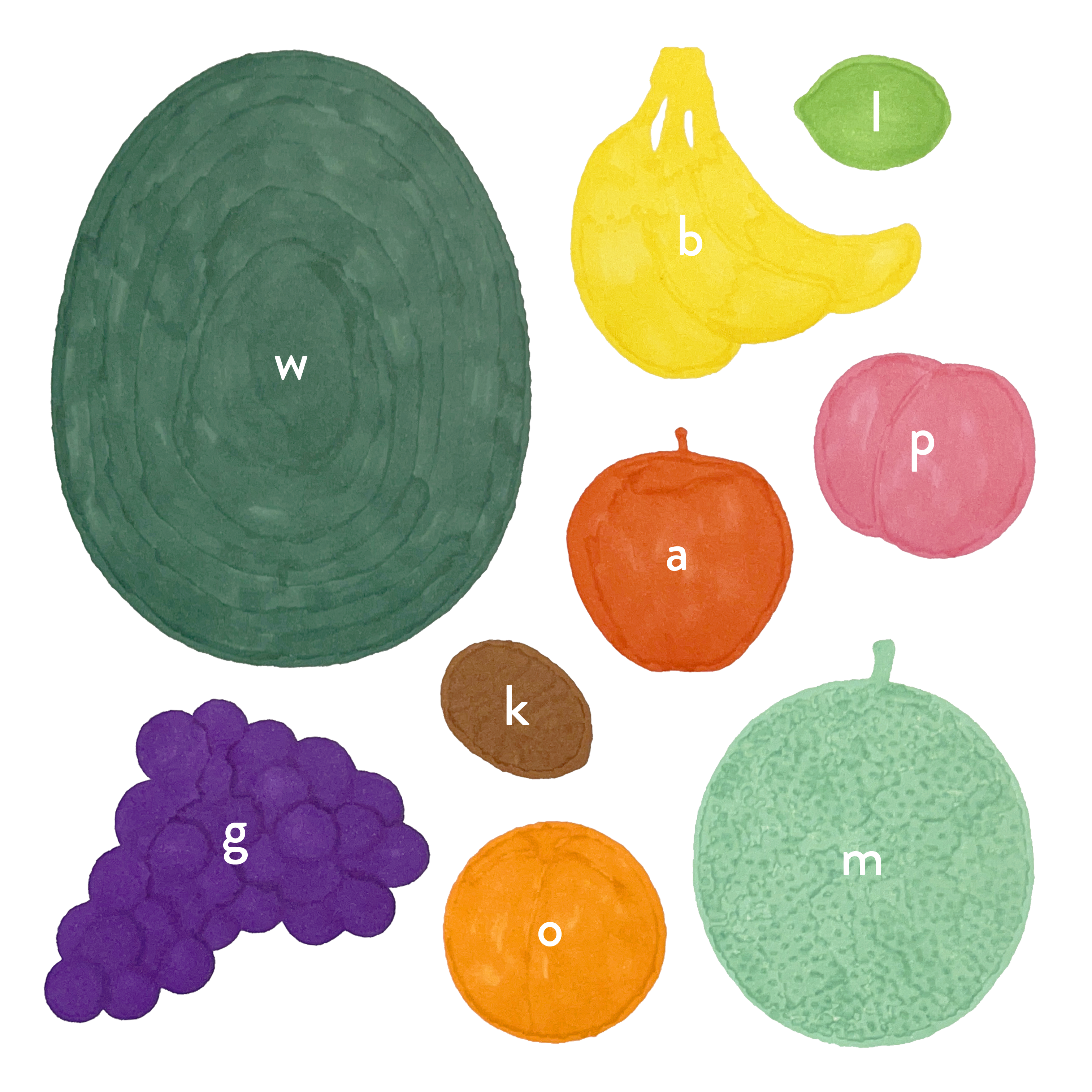 silhouette of fruits