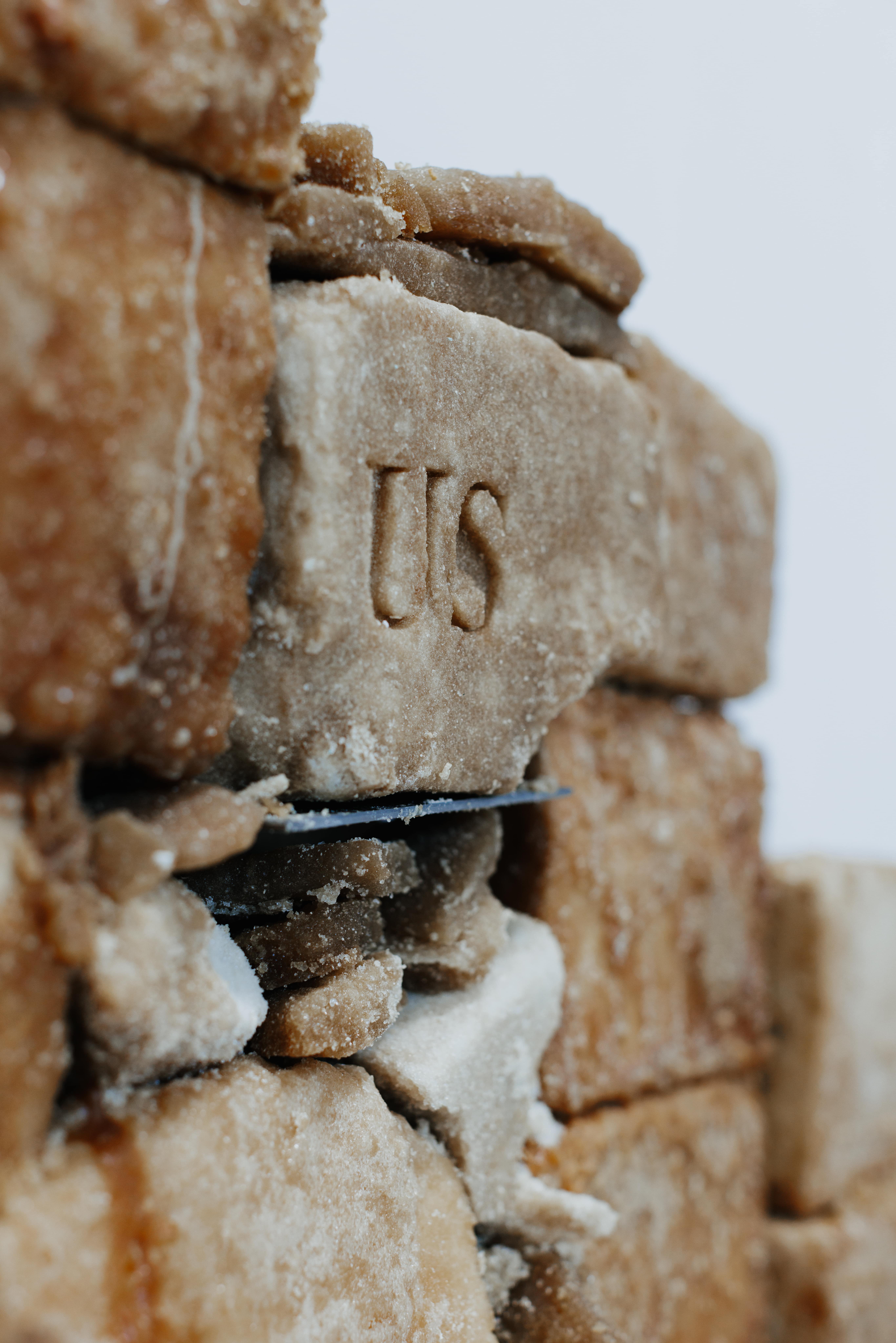 Brick by Brick, 2025 Image courtesy of Jovan Lee