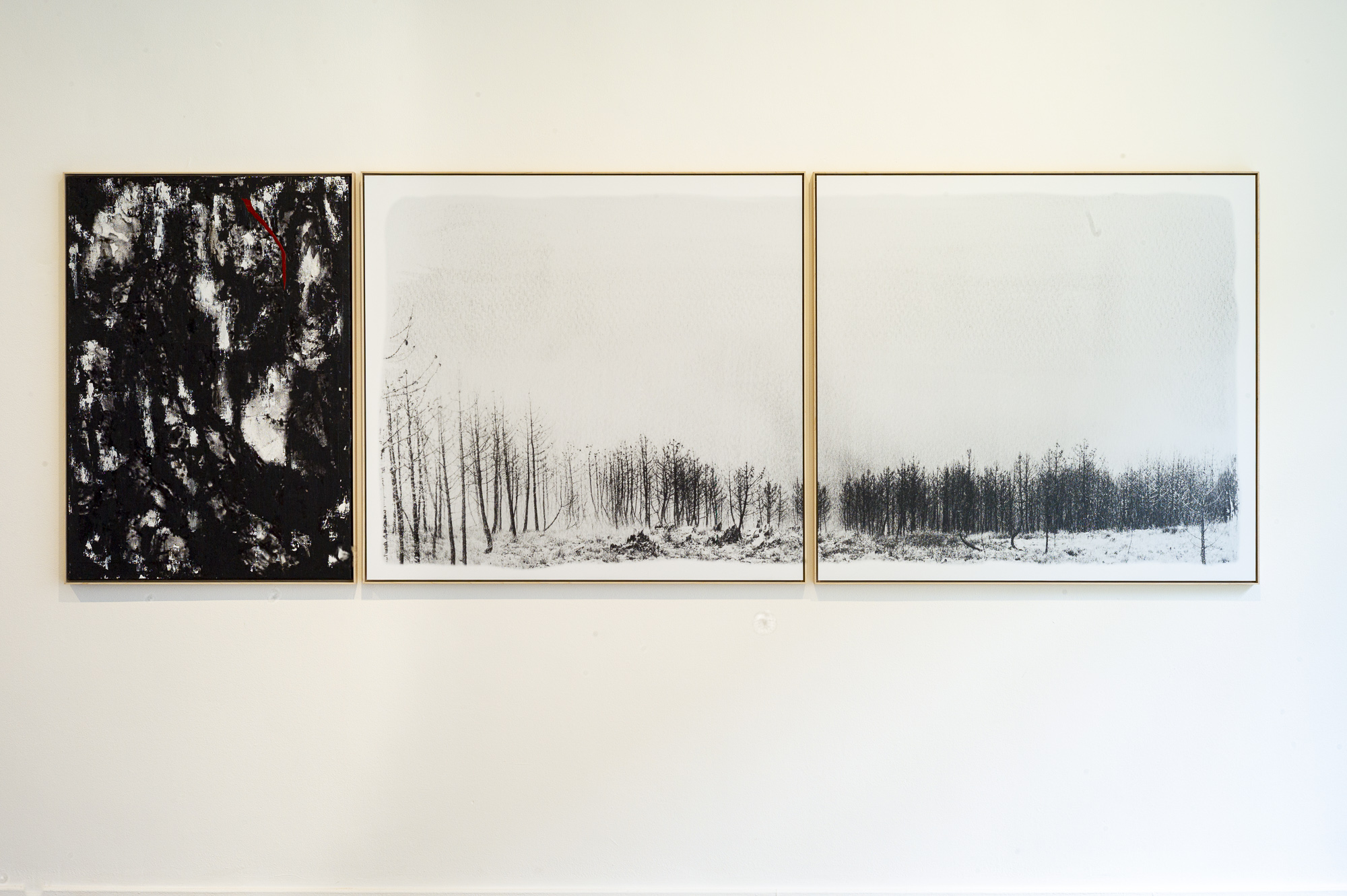 Solo Exhibition Ingrid Deuss Gallery Antwerp 2021 / Title: “Interpose" triptych 100 x 297 cm/ Painting on layered prints with the charcoal from the photographed trees & diptych Pigment print on Archival Satin paper