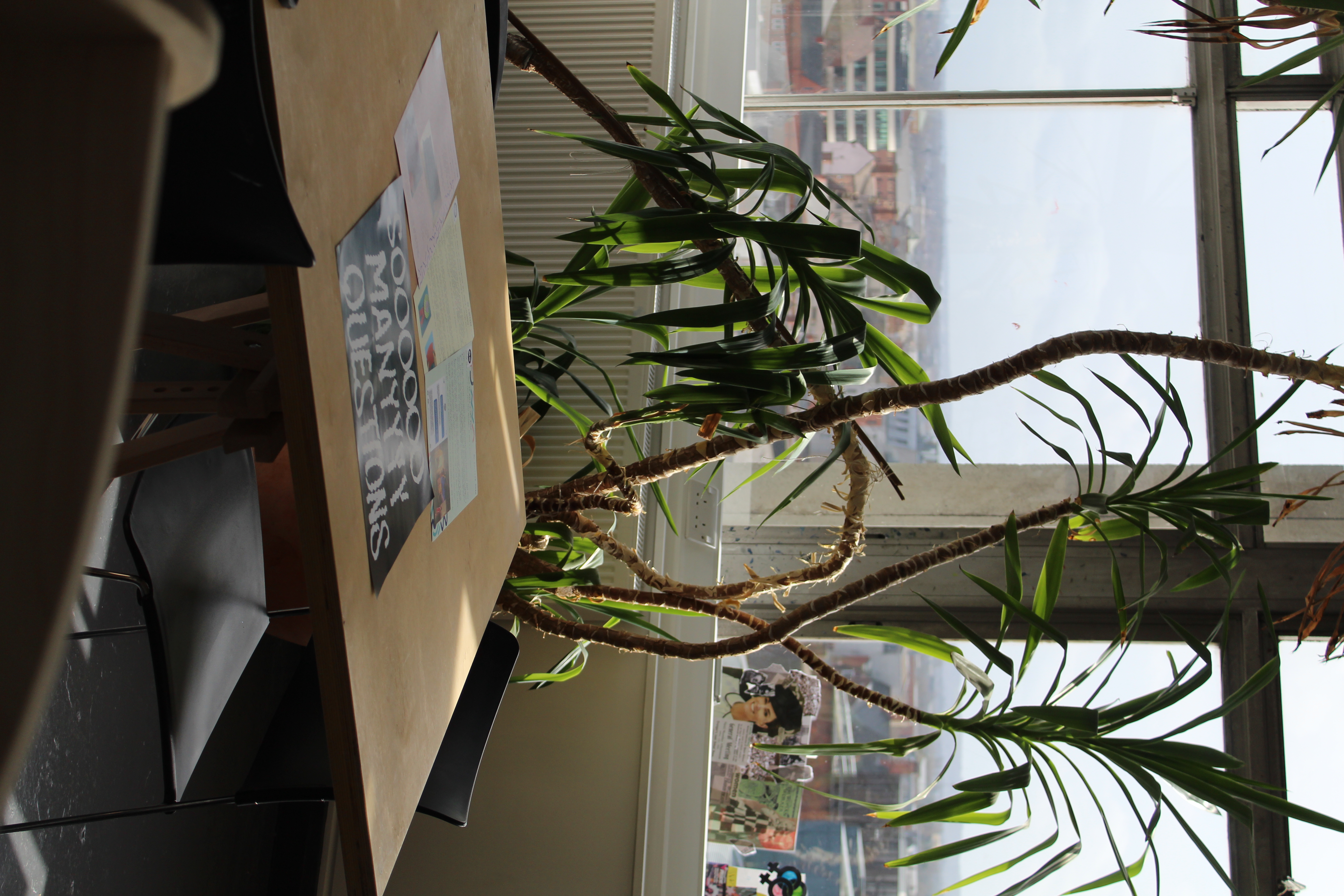 ︎︎︎ Activity Sheets for Mark Essen and Sahjan Kooner's 'School of the Underkraft' for British Art Show 9. University of Wolverhampton. 01/22 - 04/22