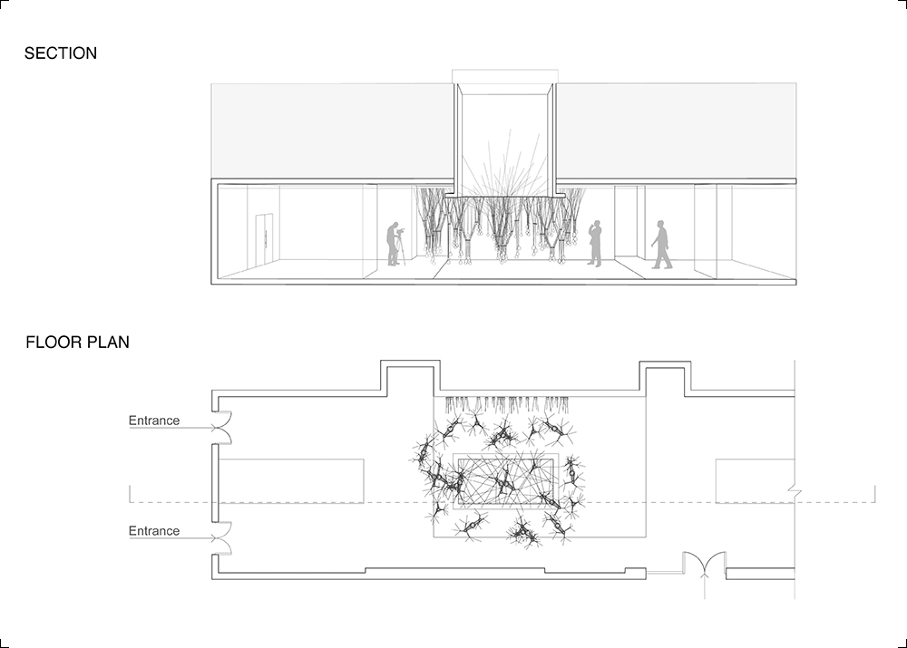 floor plan and section