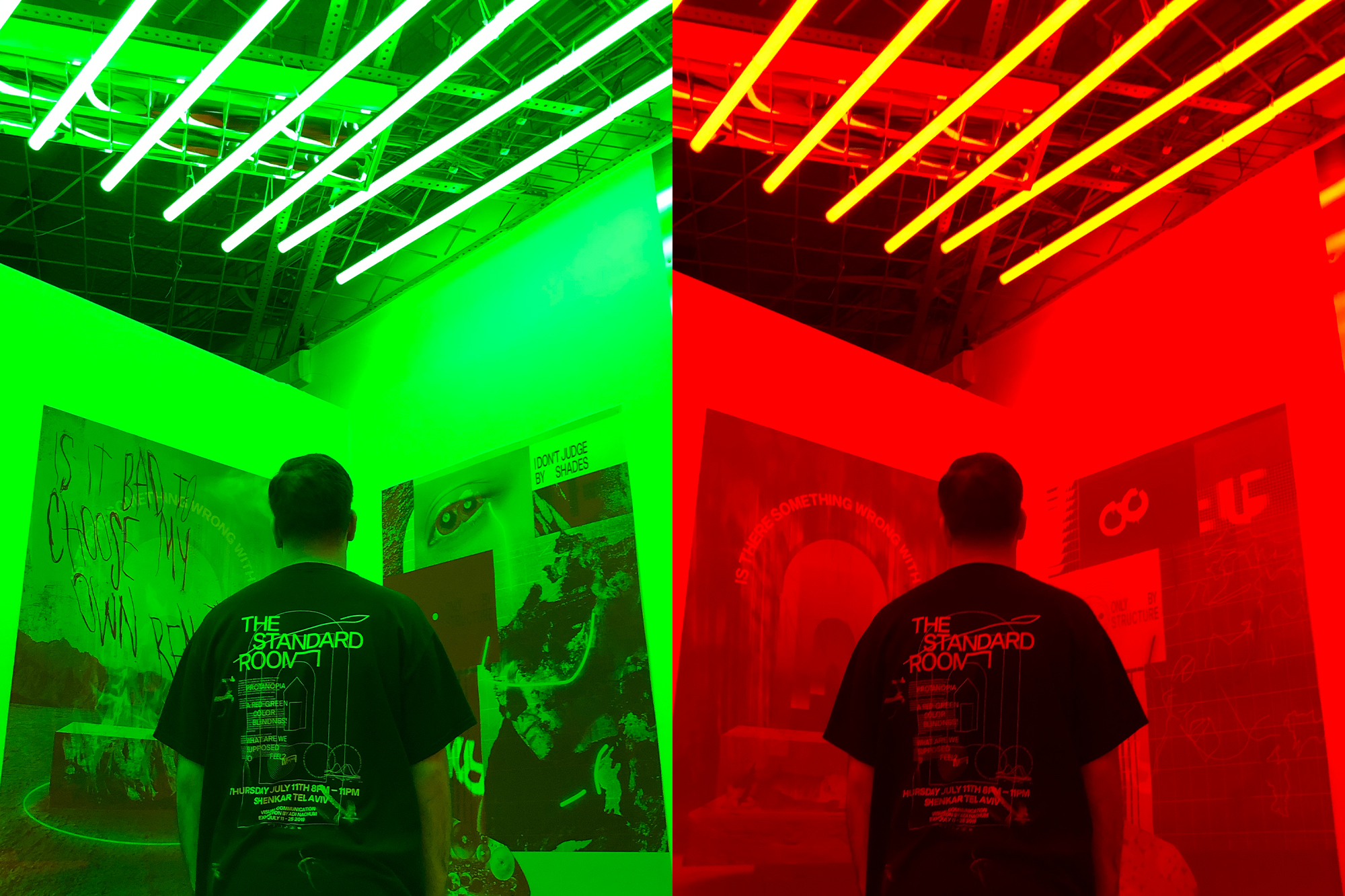 The Standard Room, an exhibit space with two alternating environments, which coexists within one room. As the color of the room alternates, the work changes - demonstrating how I perceive color and light as a color blind, 2019