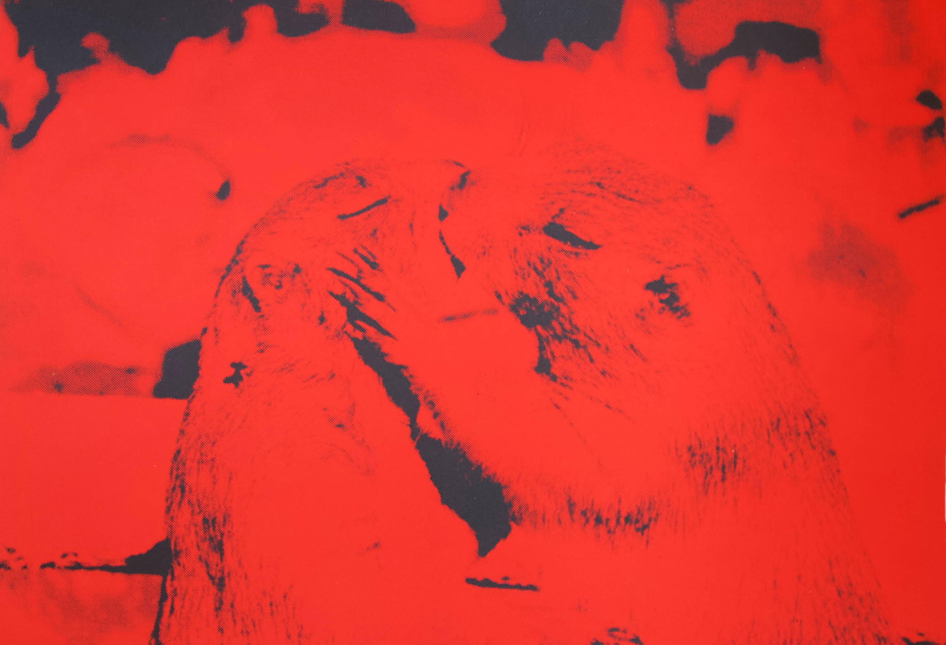 fading in and out of love (red)., acyrlic on cotton paper, 2020