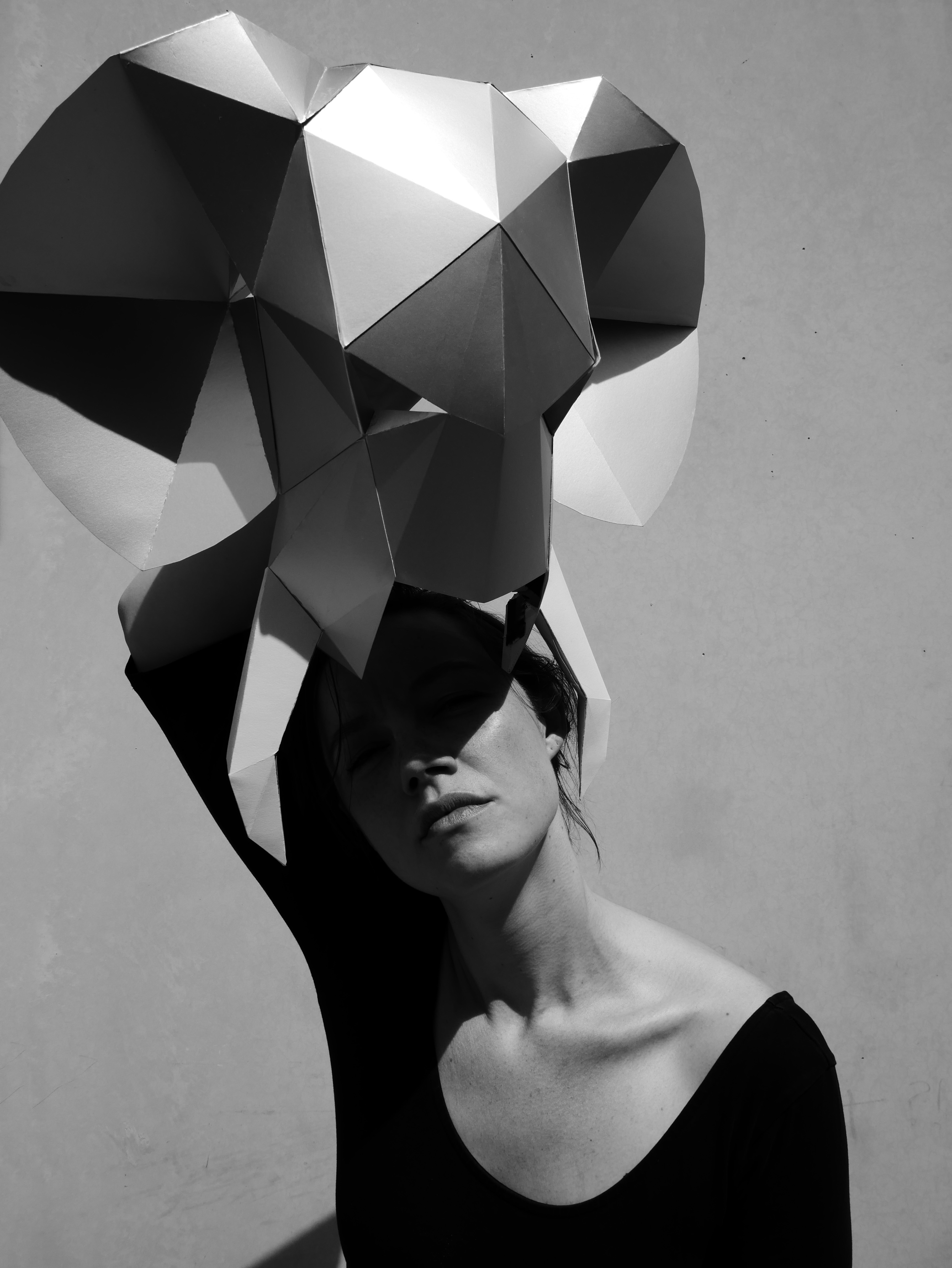 ELEPHANT IN THE ROOM   Eva Layla     