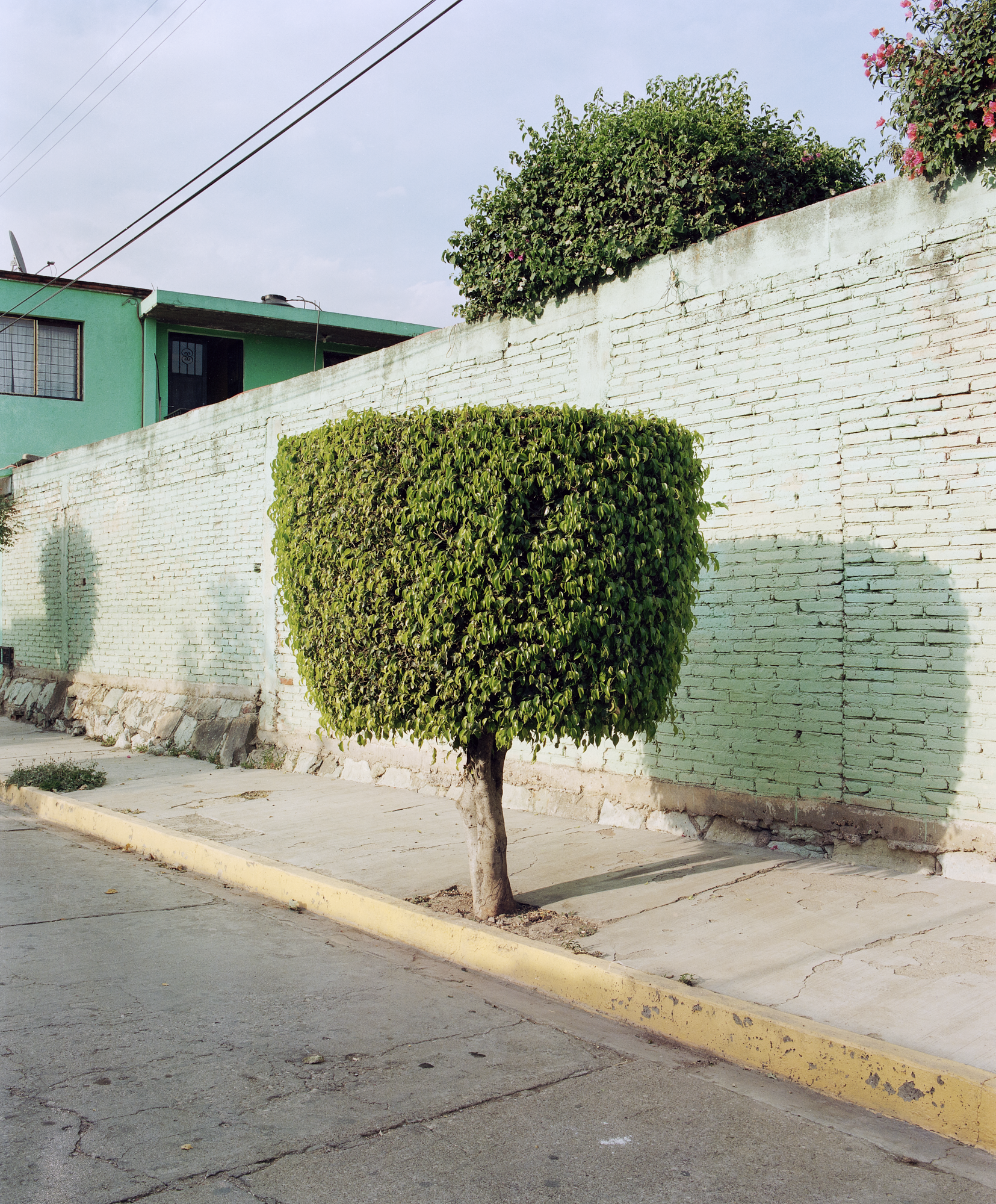 21/35, Untitled 2022