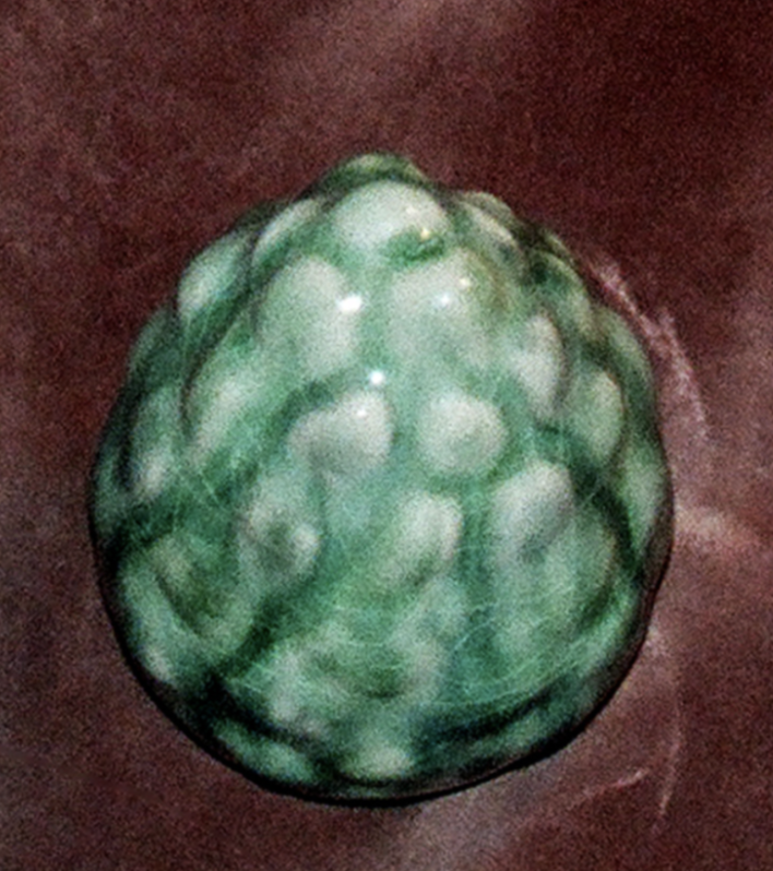 GRAPE RATTLE I, 2019, CERAMIC