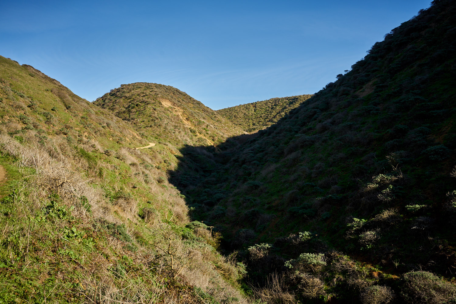 2019 Point Reyes California