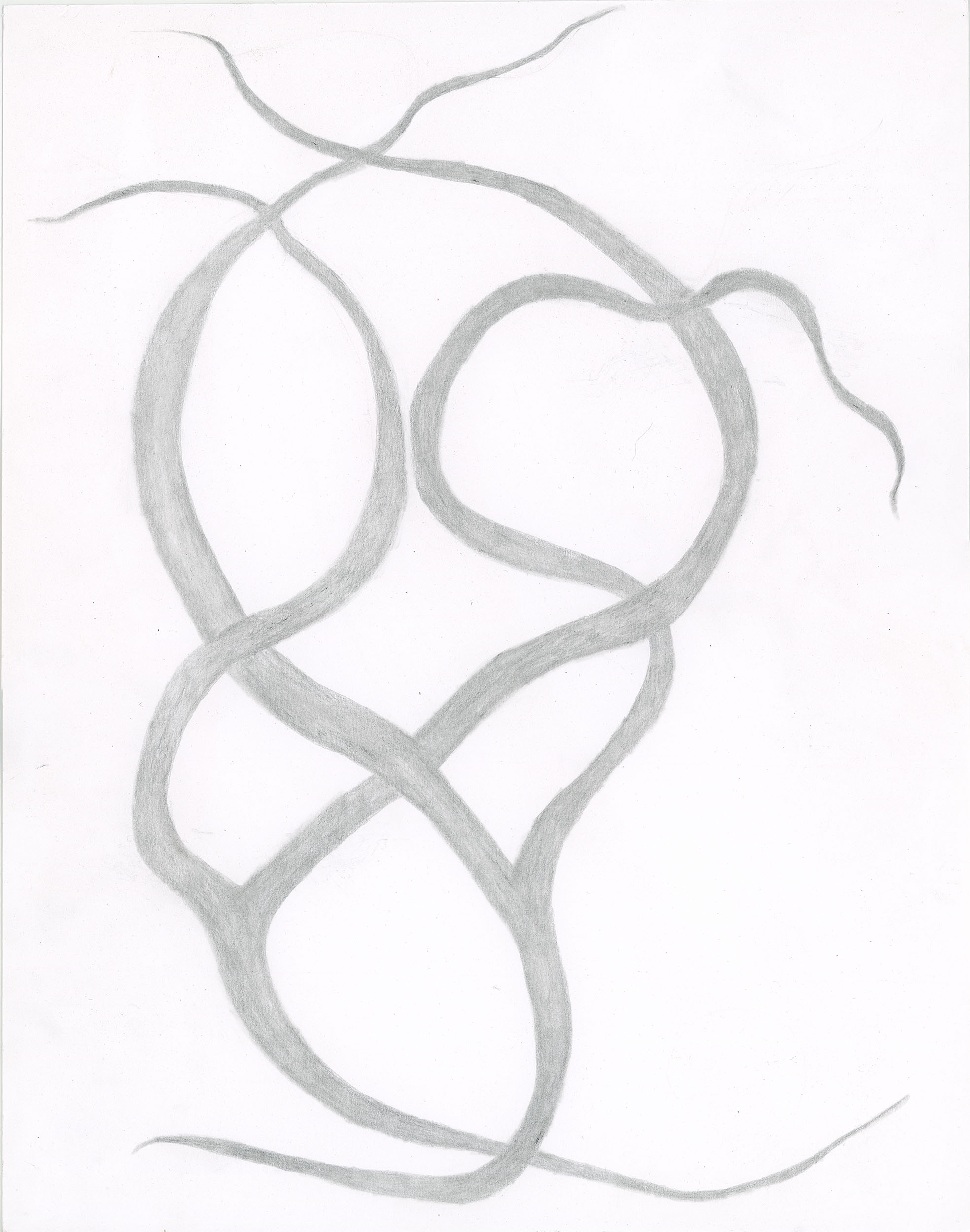 Cosmic Loop IV, 2024, 14"x11", graphite
