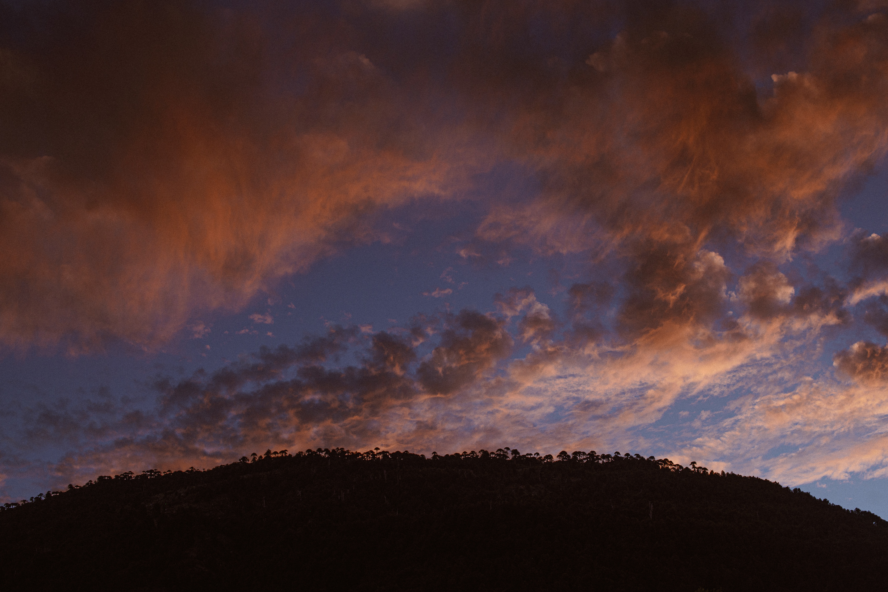 Photos made by Paloma Palomino and Josefina Astorga