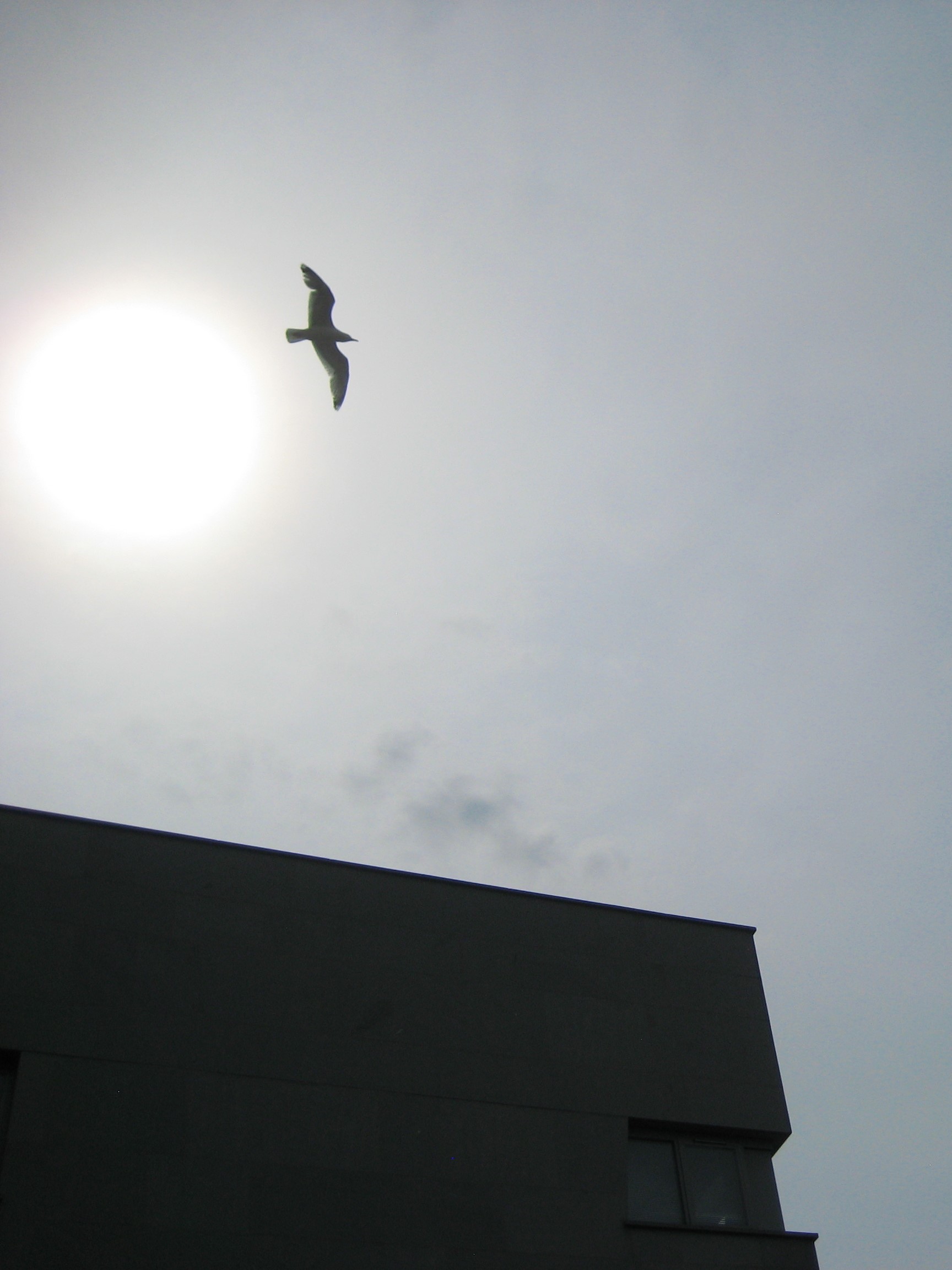 A few metres between our towels